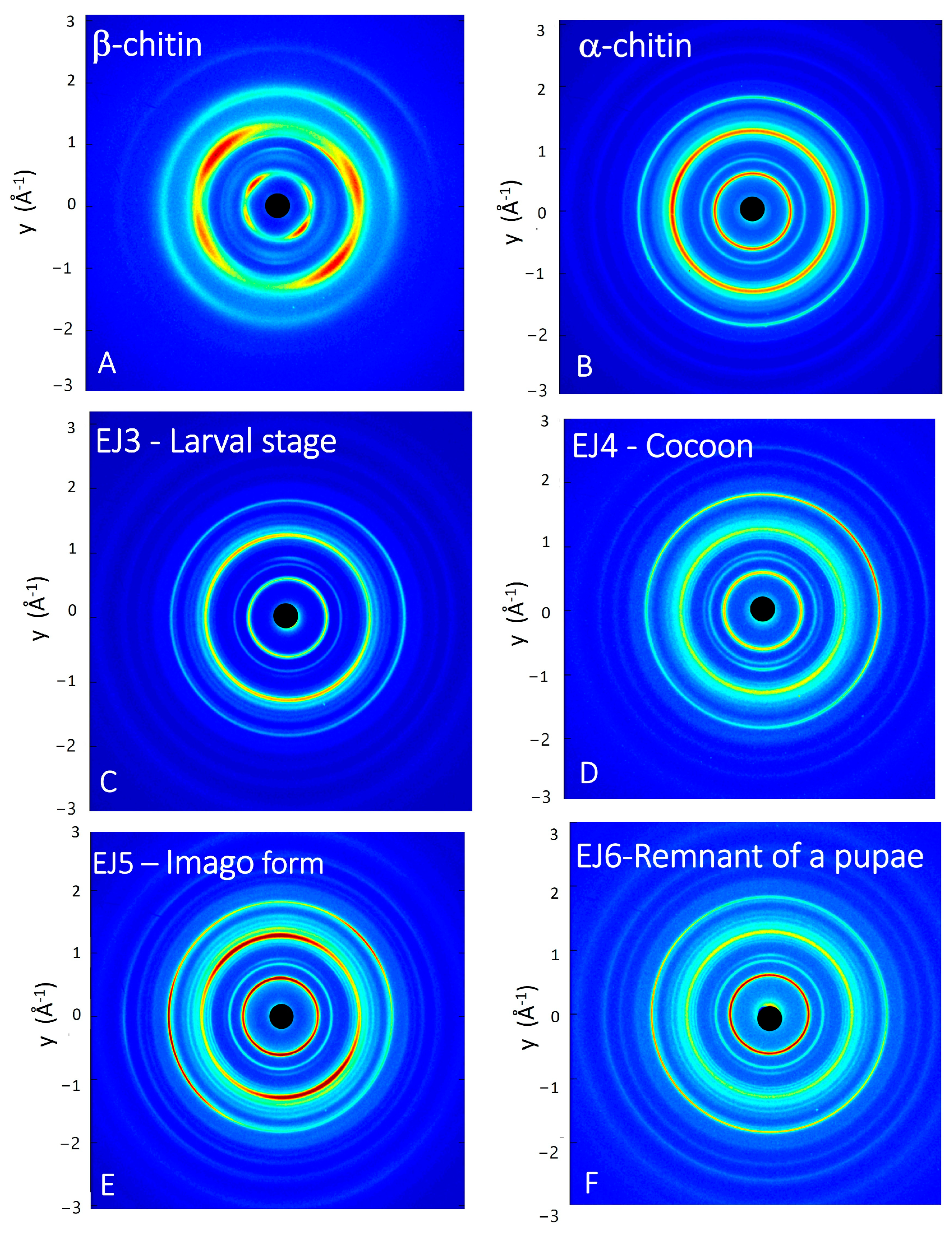 Molecules 29 01914 g006
