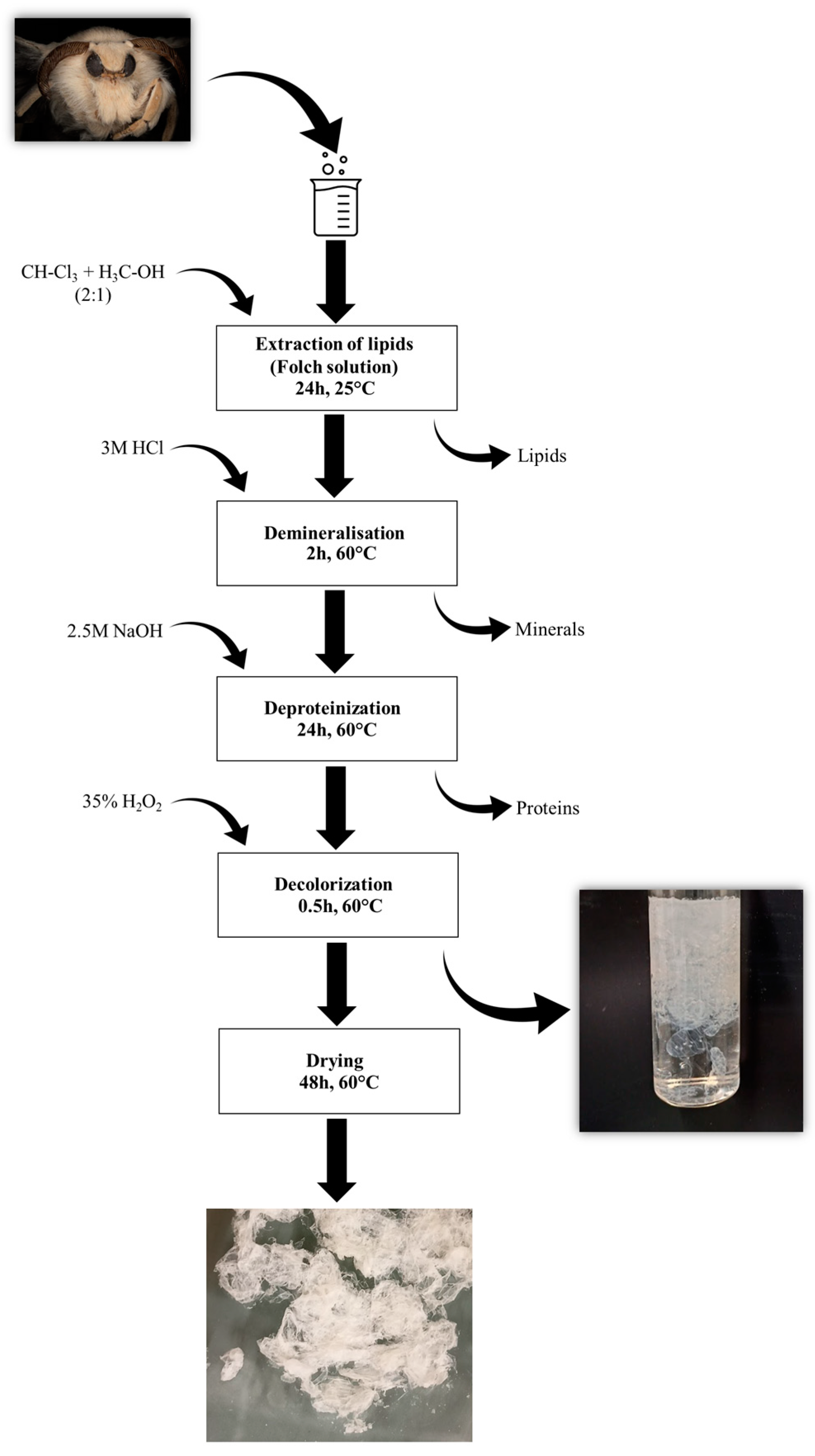 Molecules 29 01914 g008