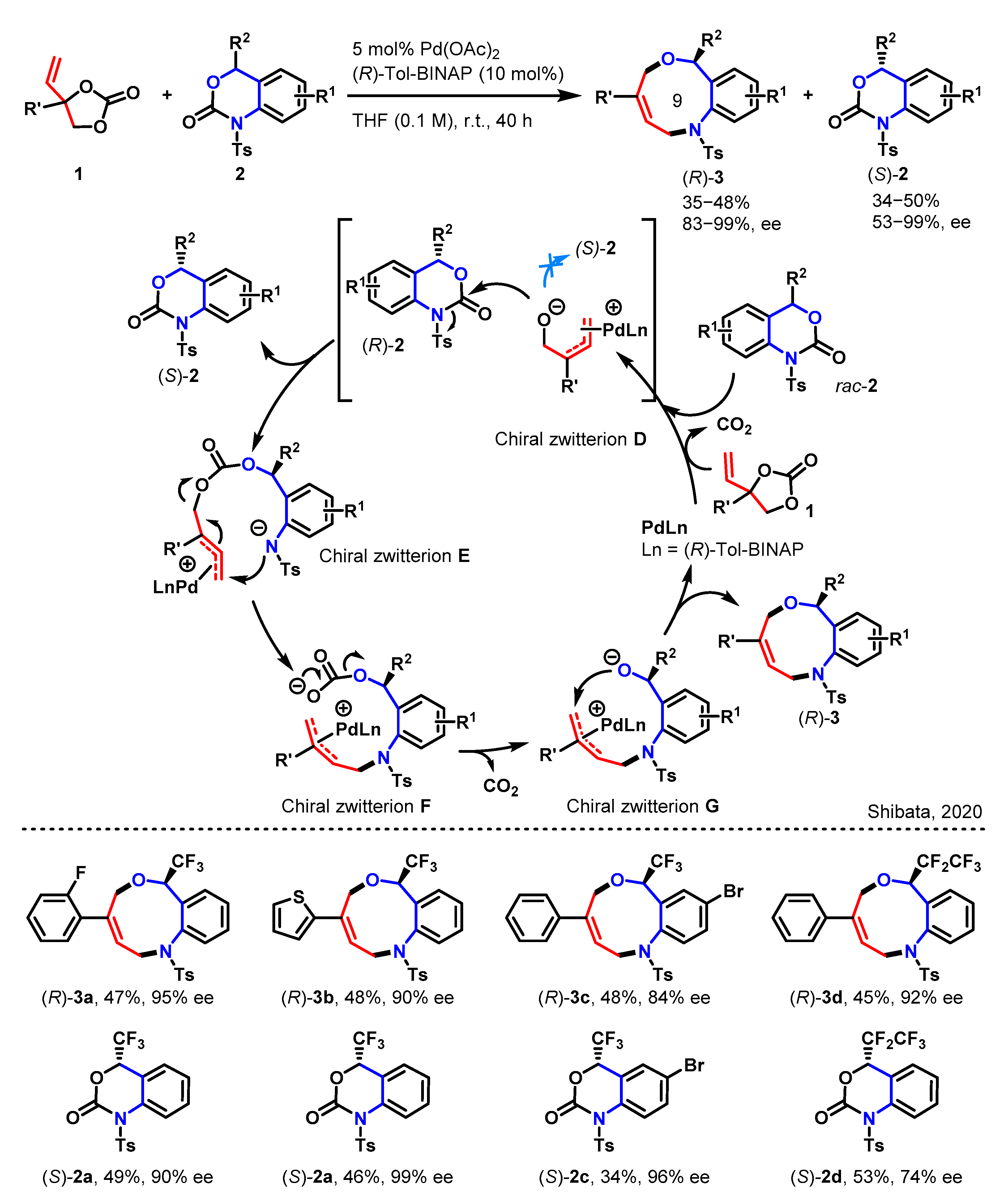 Molecules 29 01920 sch001 Molecules 29 01920 sch001