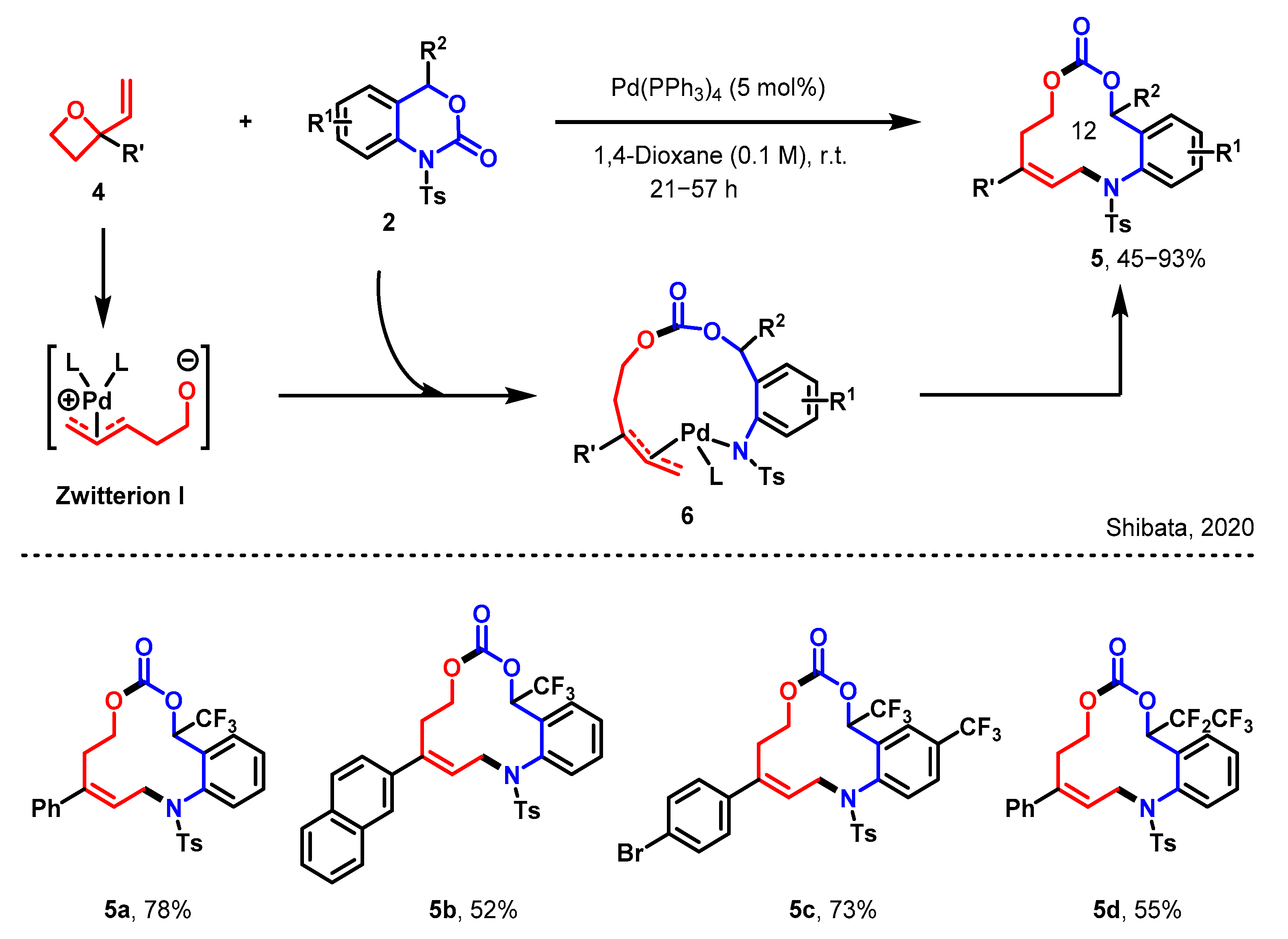 Molecules 29 01920 sch002 Molecules 29 01920 sch002