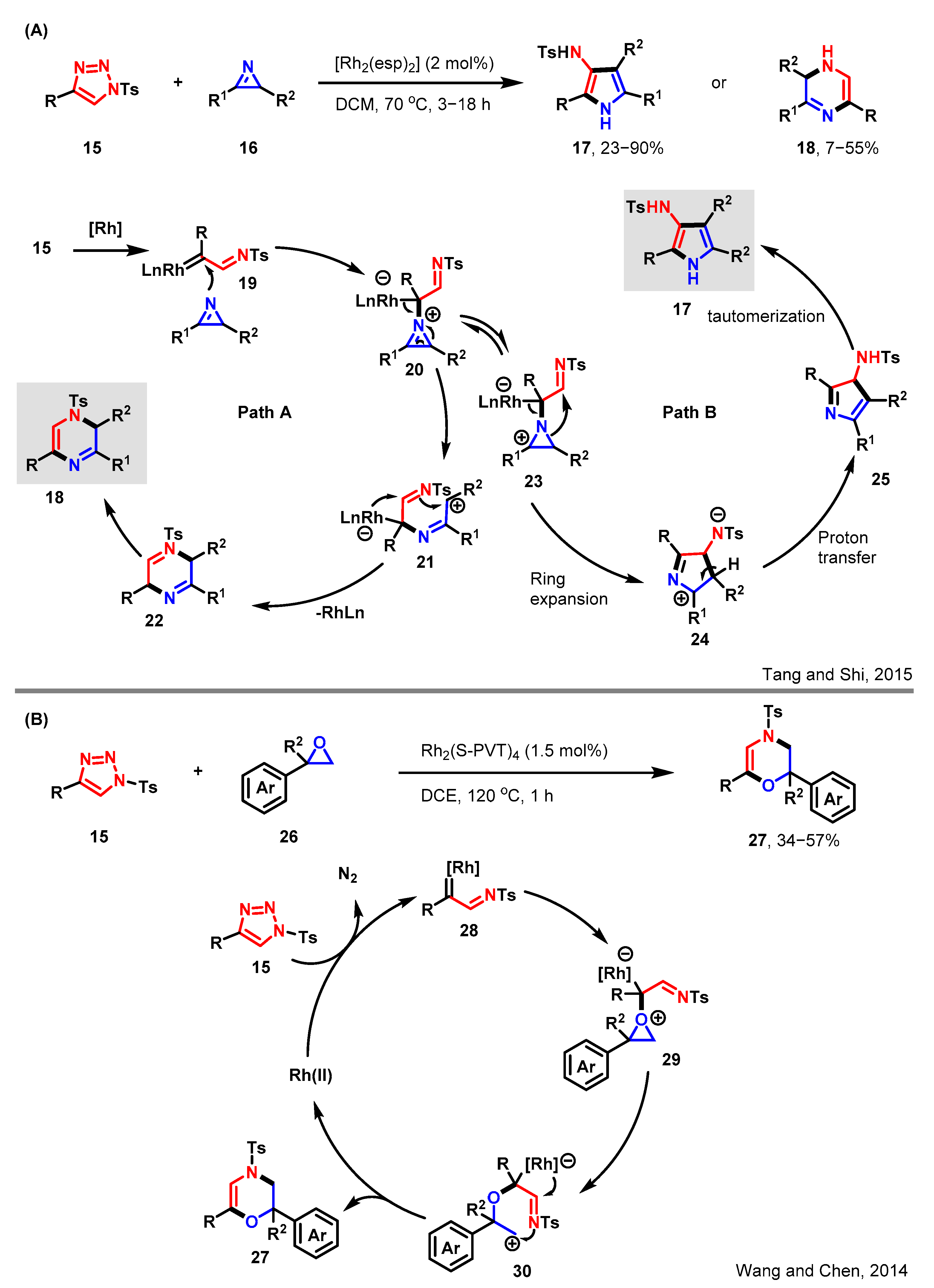 Molecules 29 01920 sch004 Molecules 29 01920 sch004