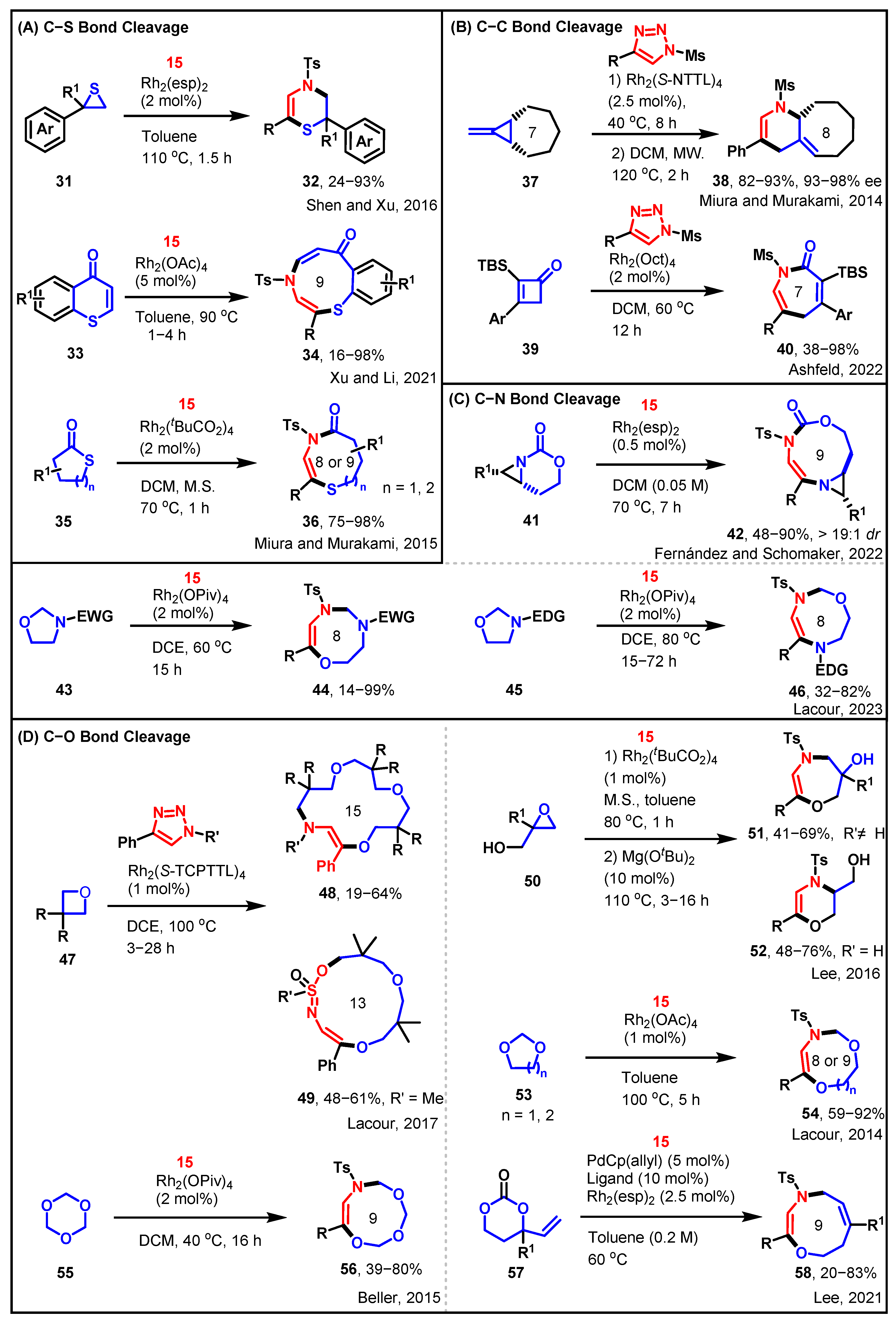 Molecules 29 01920 sch005 Molecules 29 01920 sch005