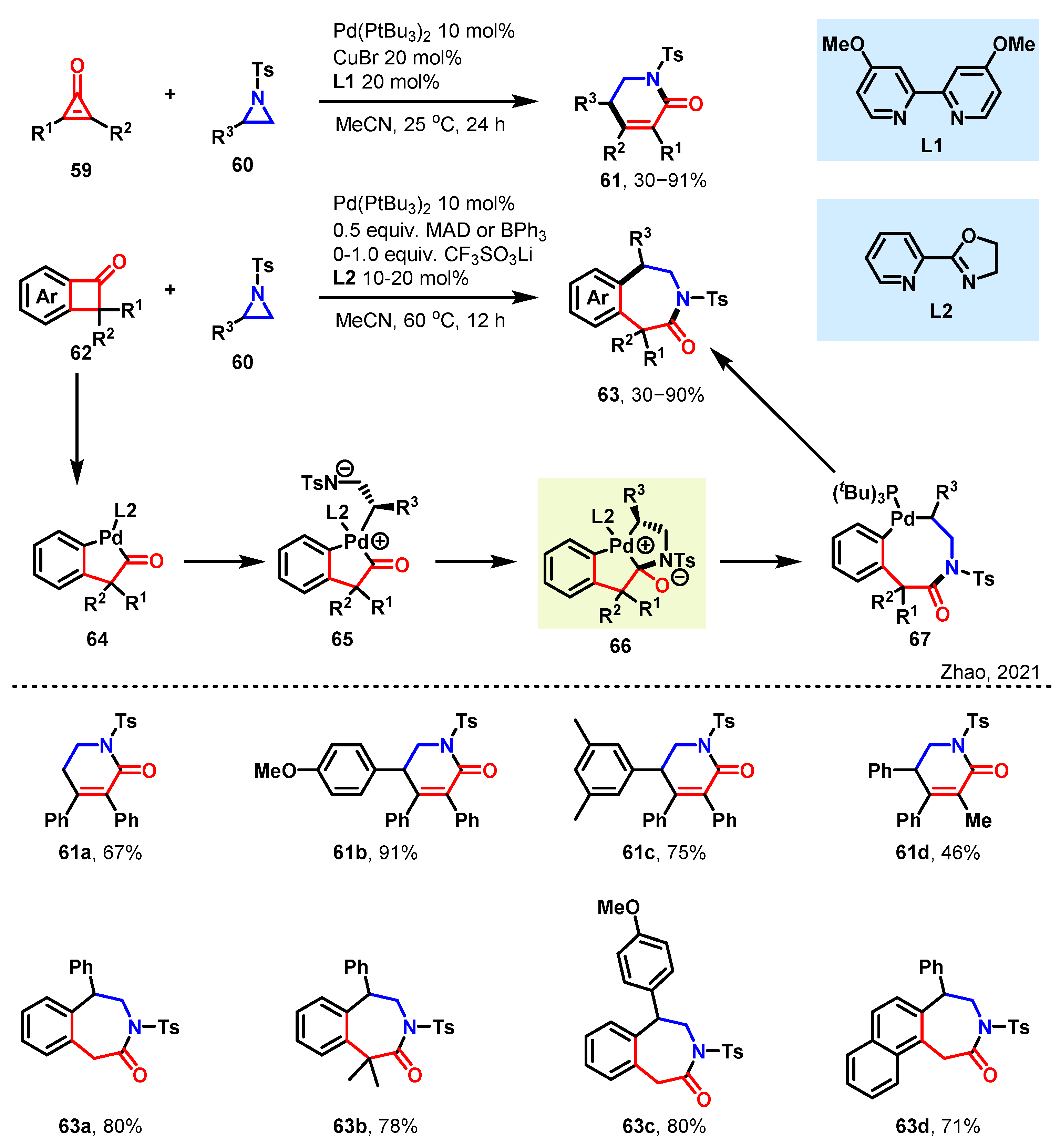 Molecules 29 01920 sch006 Molecules 29 01920 sch006