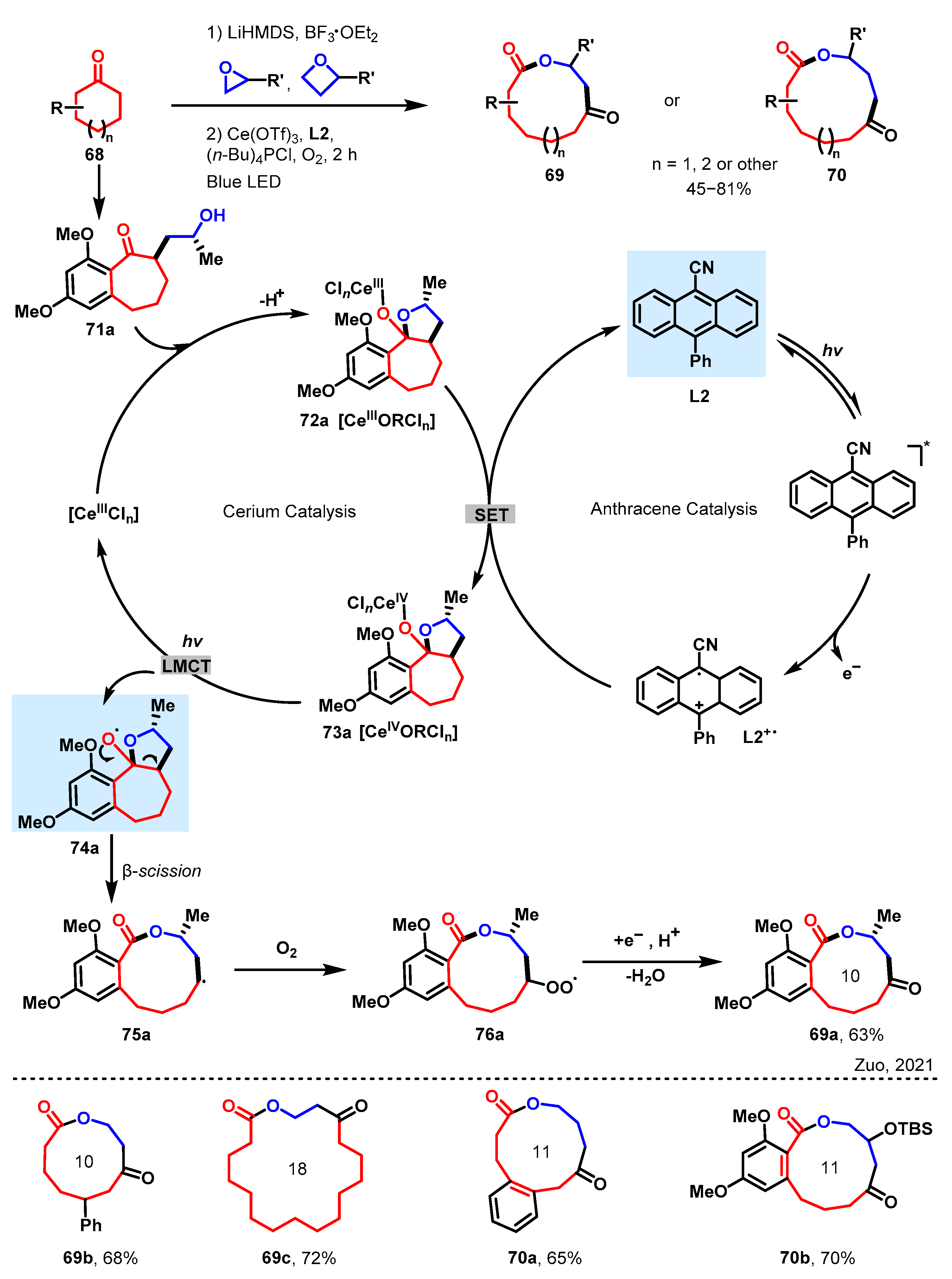 Molecules 29 01920 sch007 Molecules 29 01920 sch007
