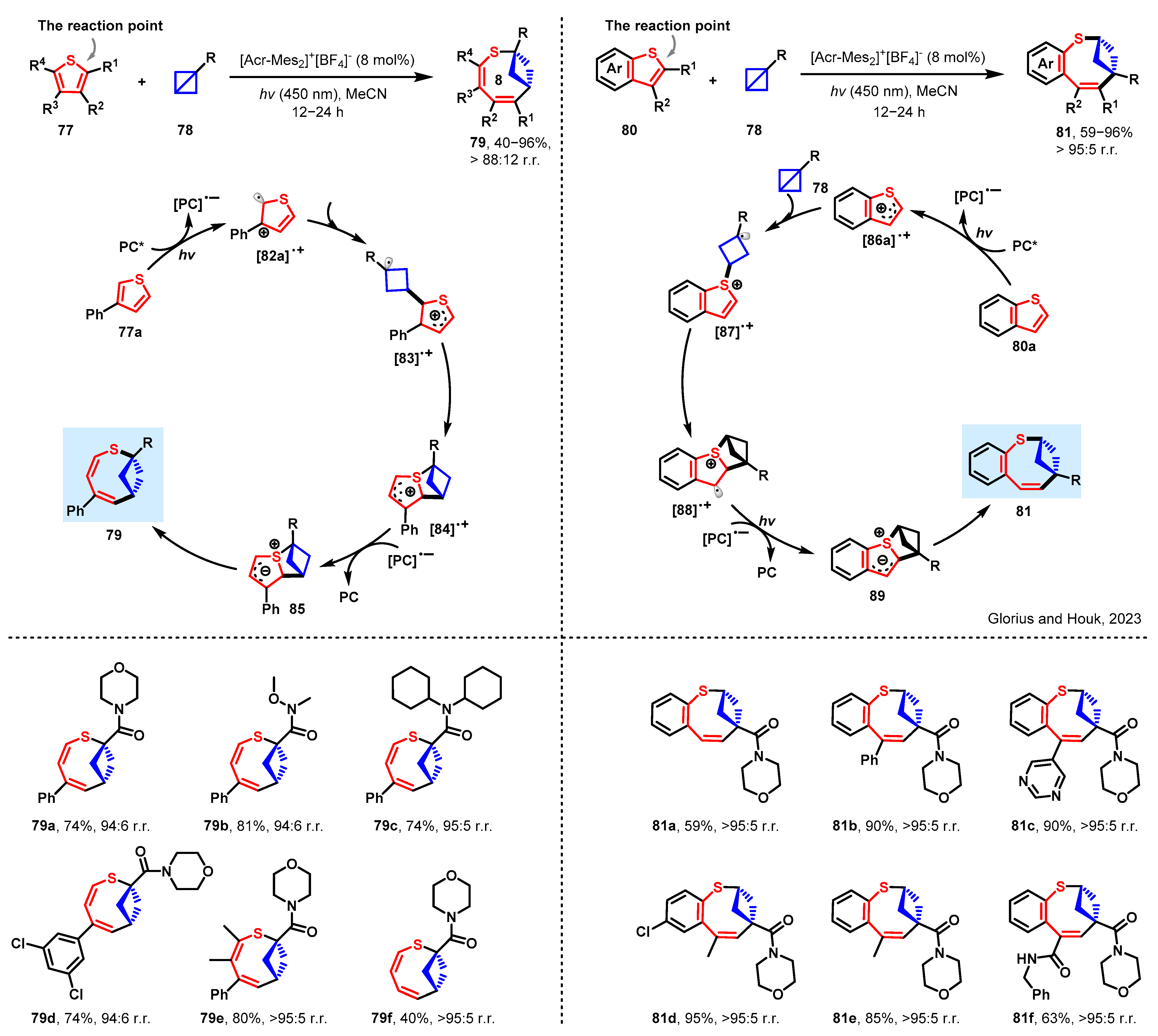 Molecules 29 01920 sch008 Molecules 29 01920 sch008