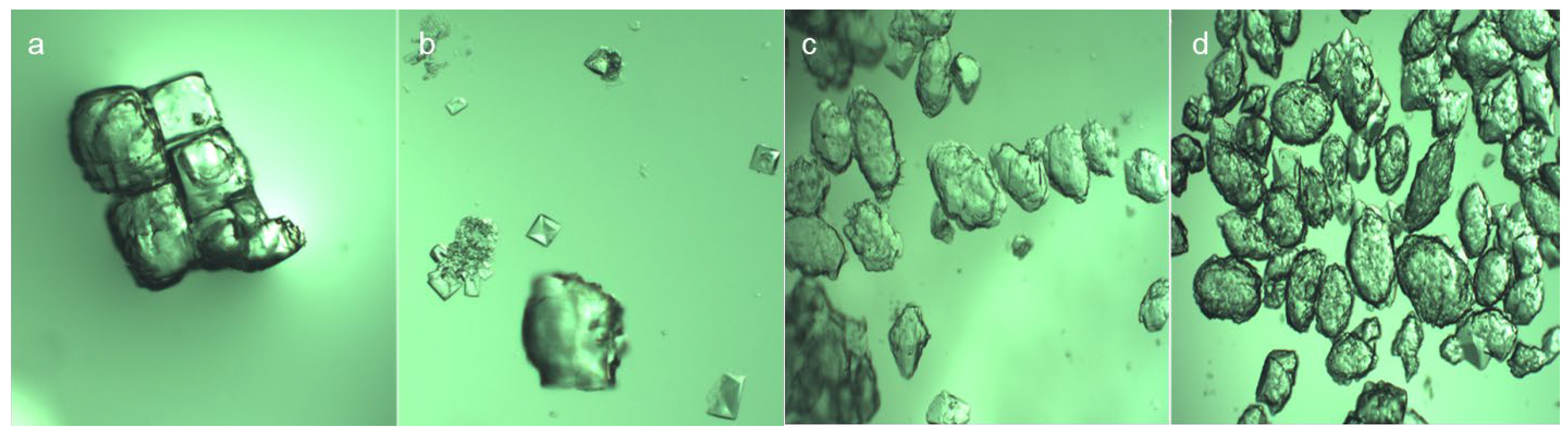 Molecules 29 01928 g006 Molecules 29 01928 g006
