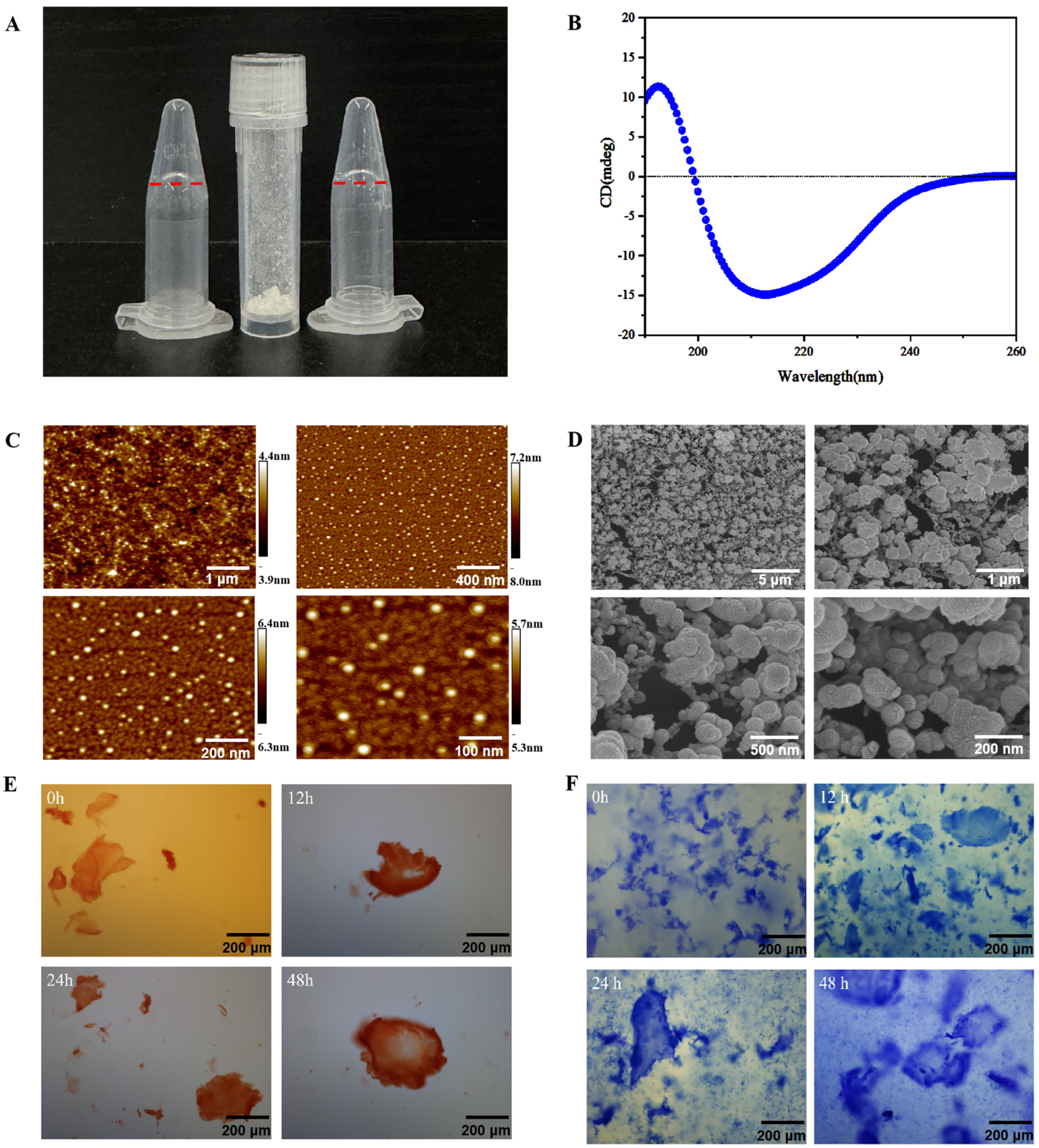 Molecules 29 01944 g002