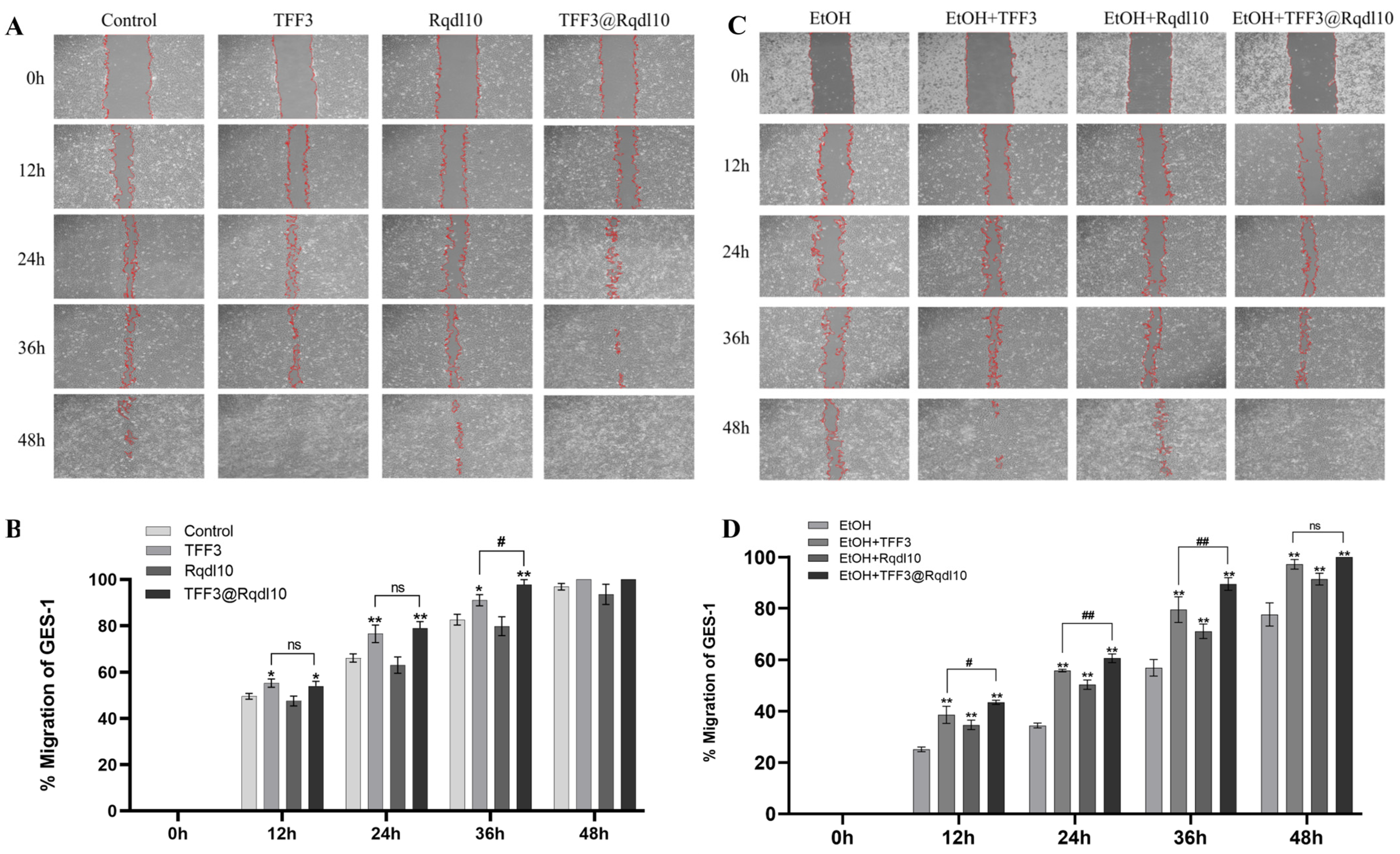 Molecules 29 01944 g005
