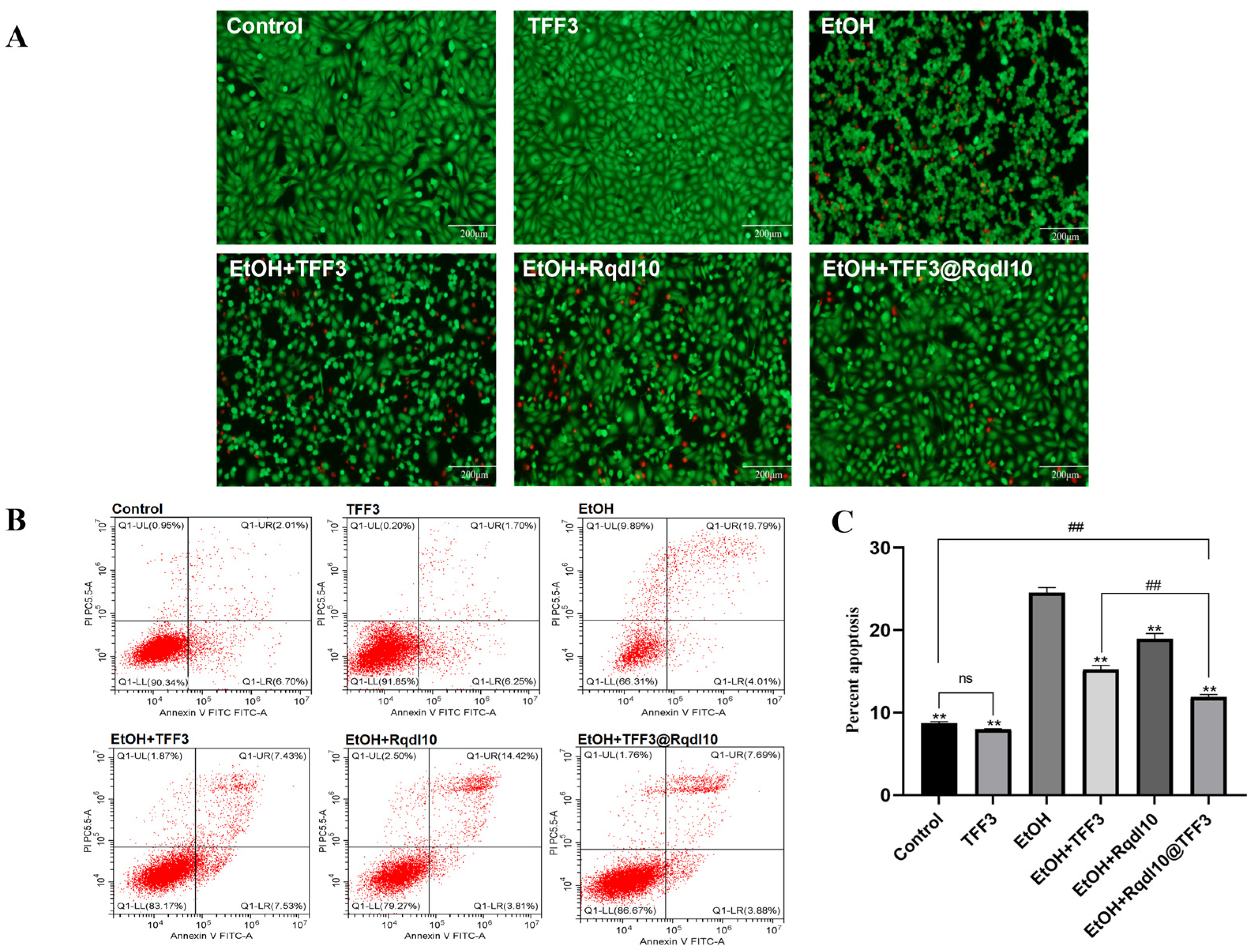 Molecules 29 01944 g006