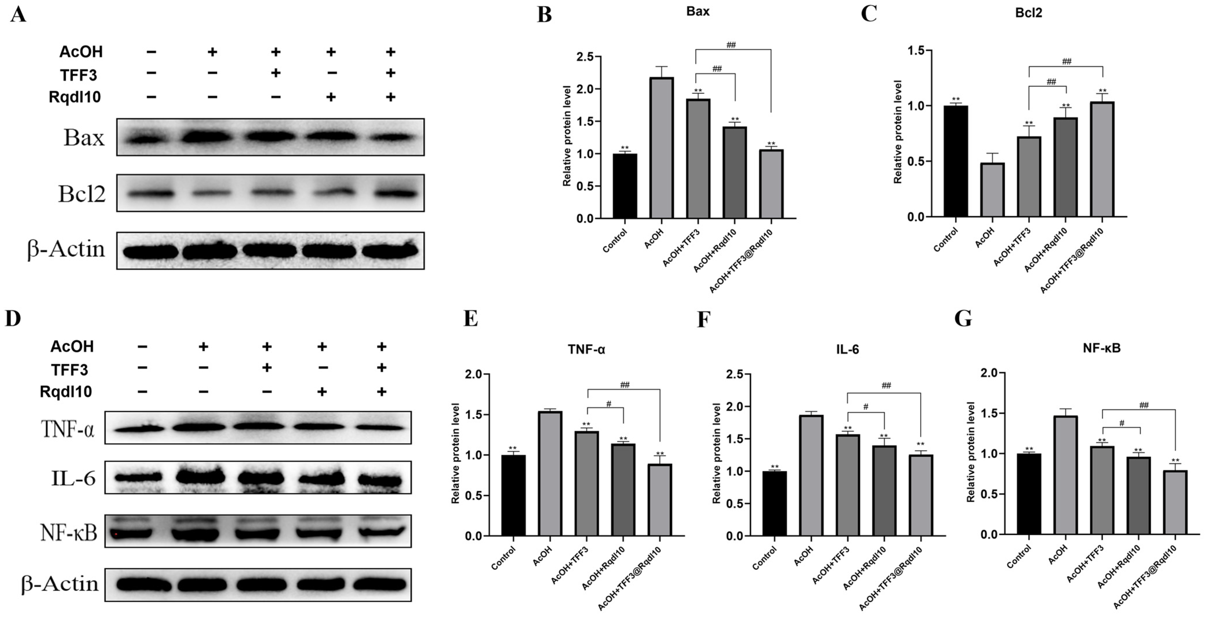 Molecules 29 01944 g008
