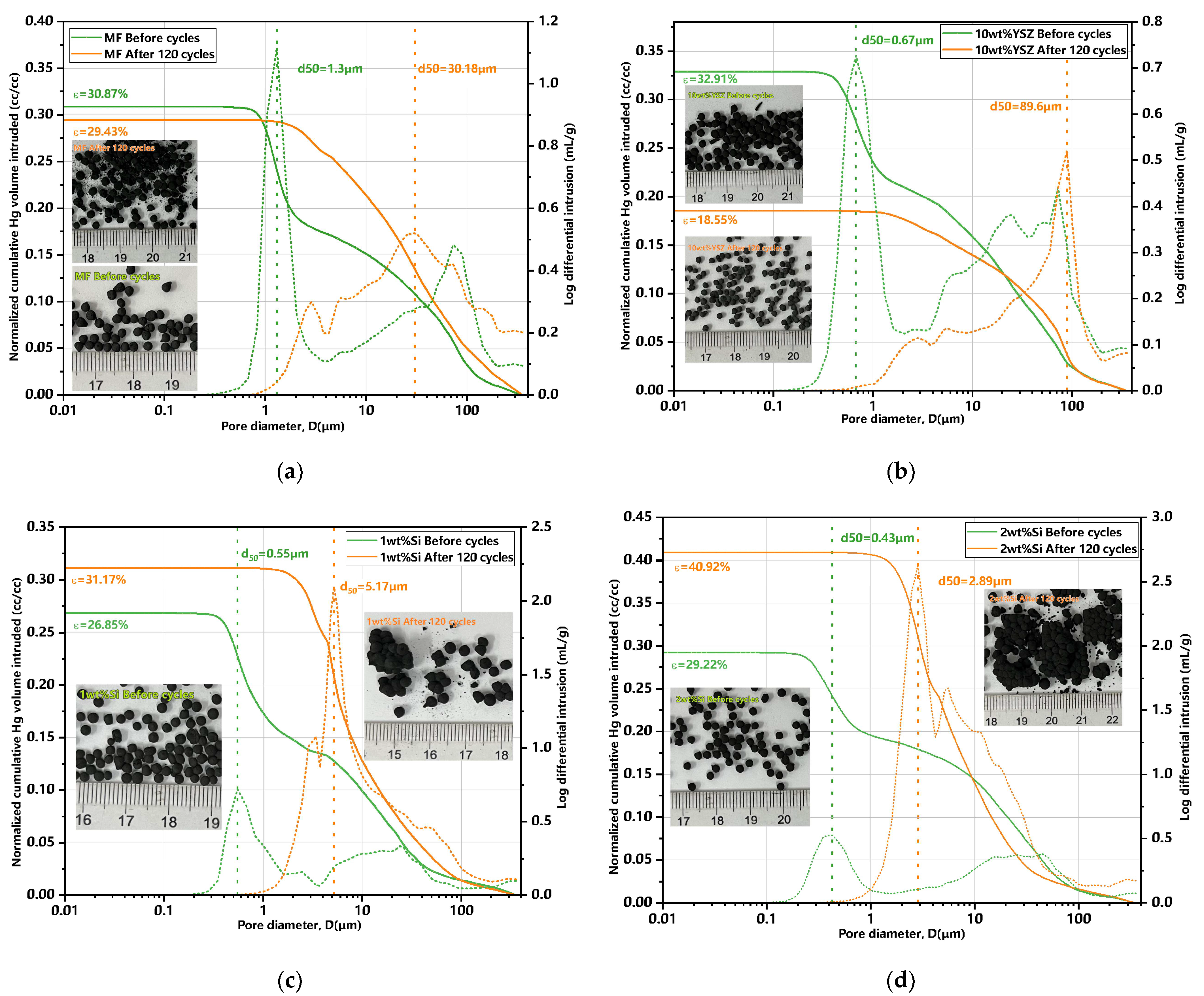 Molecules 29 01946 g012