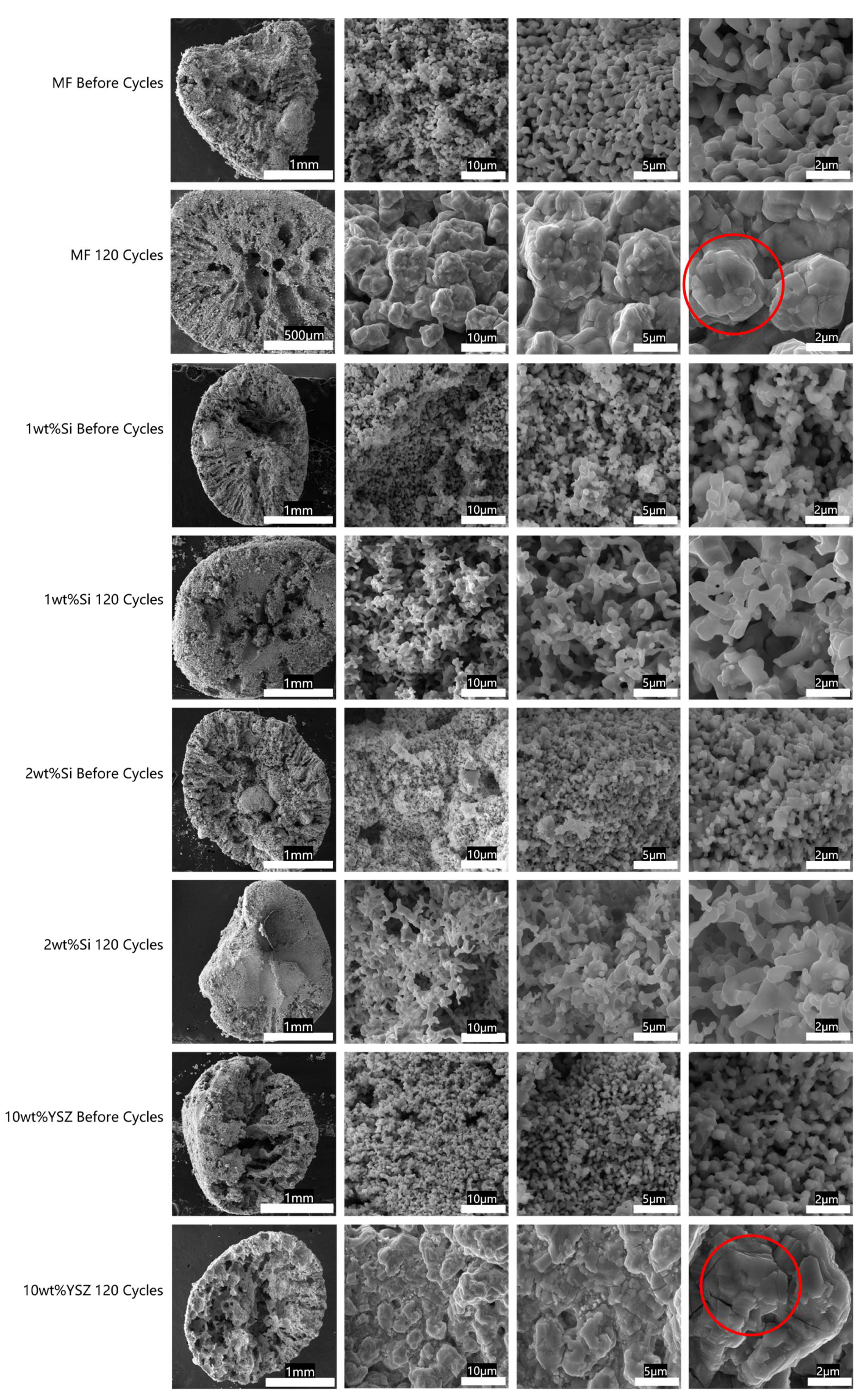 Molecules 29 01946 g013