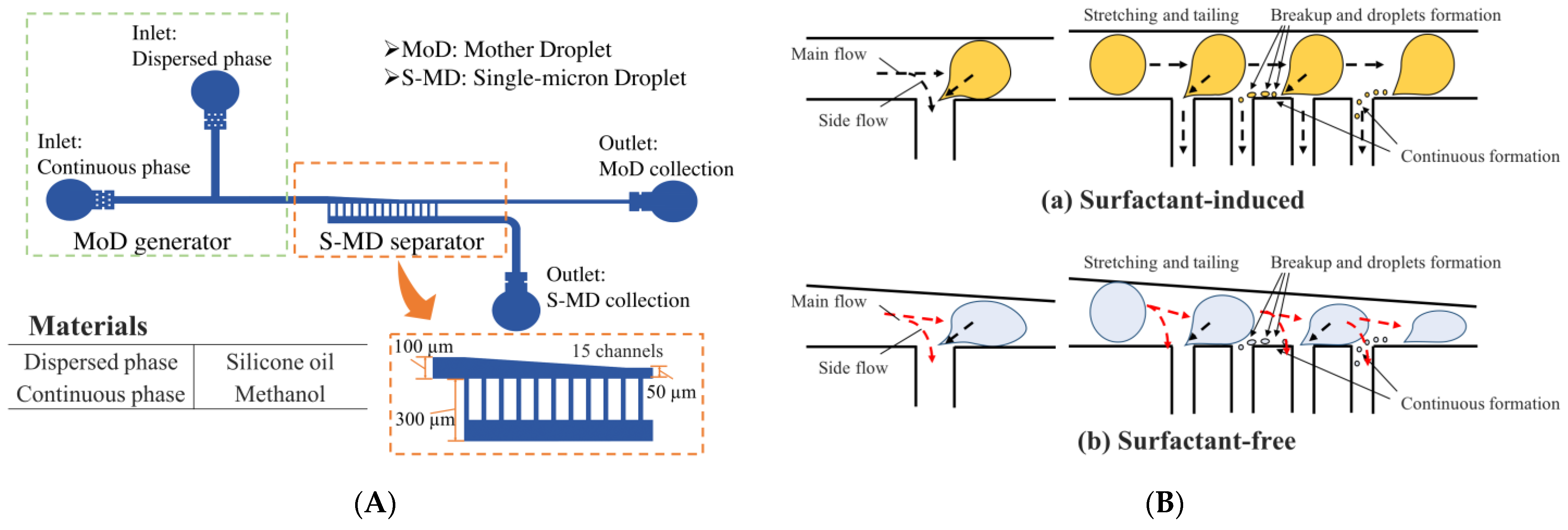 Molecules 29 01949 g006