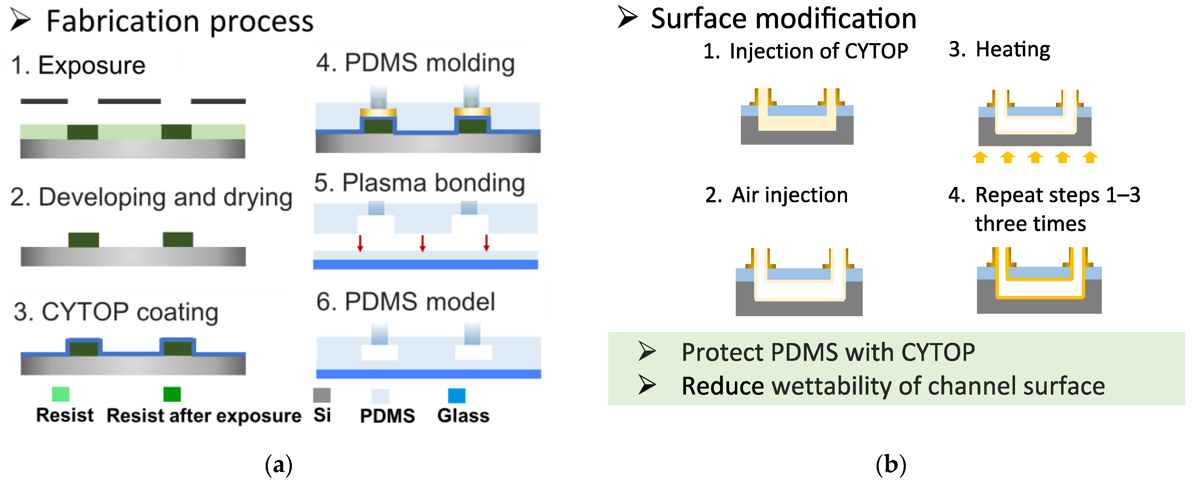 Molecules 29 01949 g007