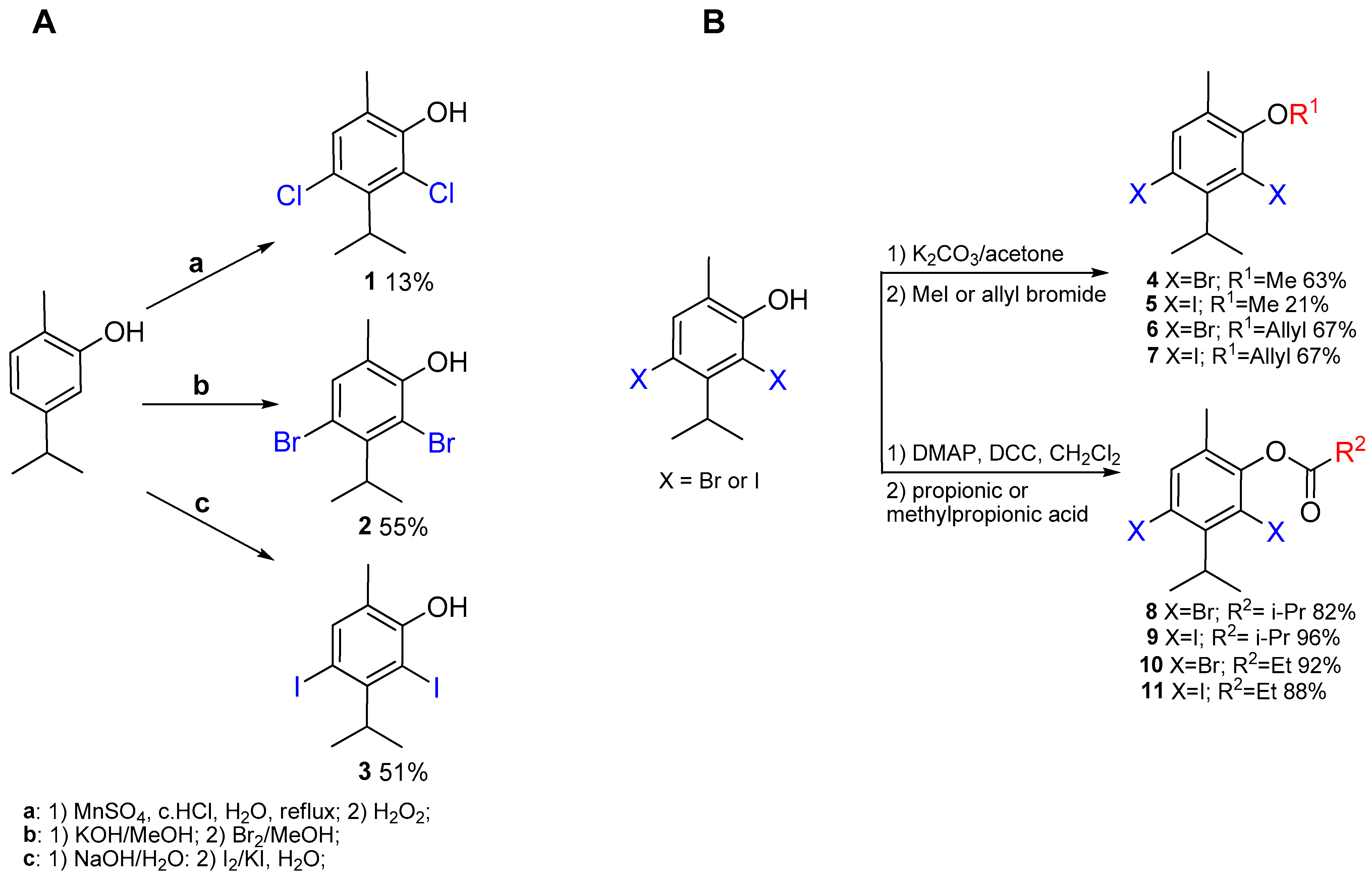 Molecules 29 01962 sch001 Molecules 29 01962 sch001