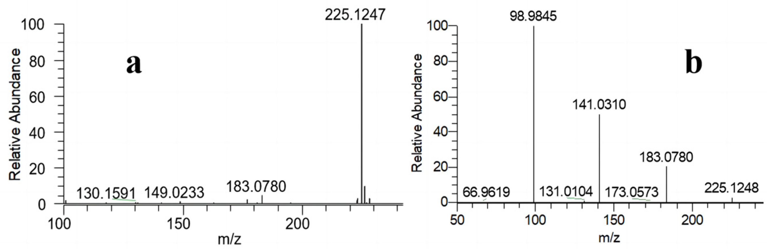 Molecules 29 01975 g001