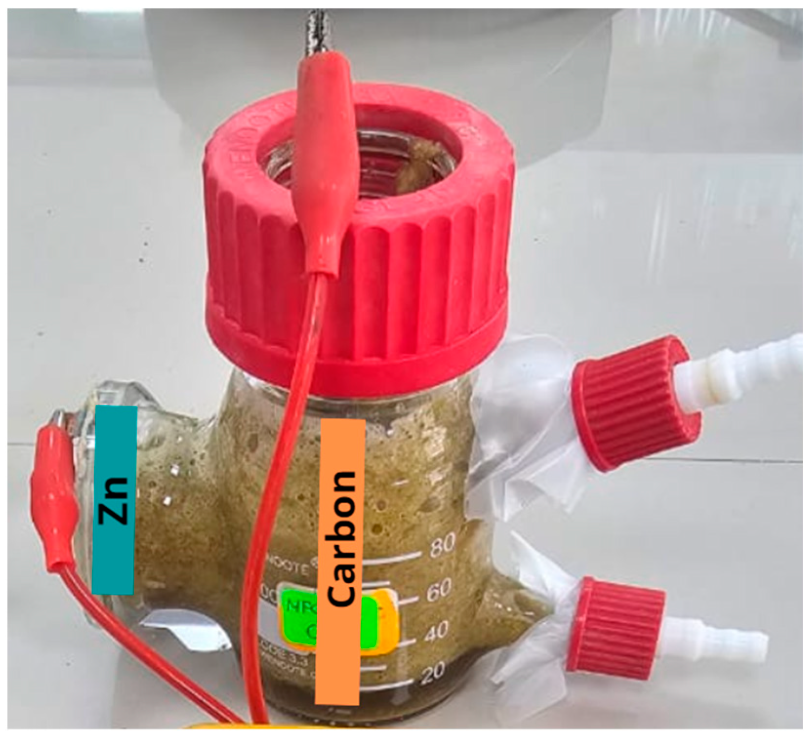 Molecules 29 01978 g001