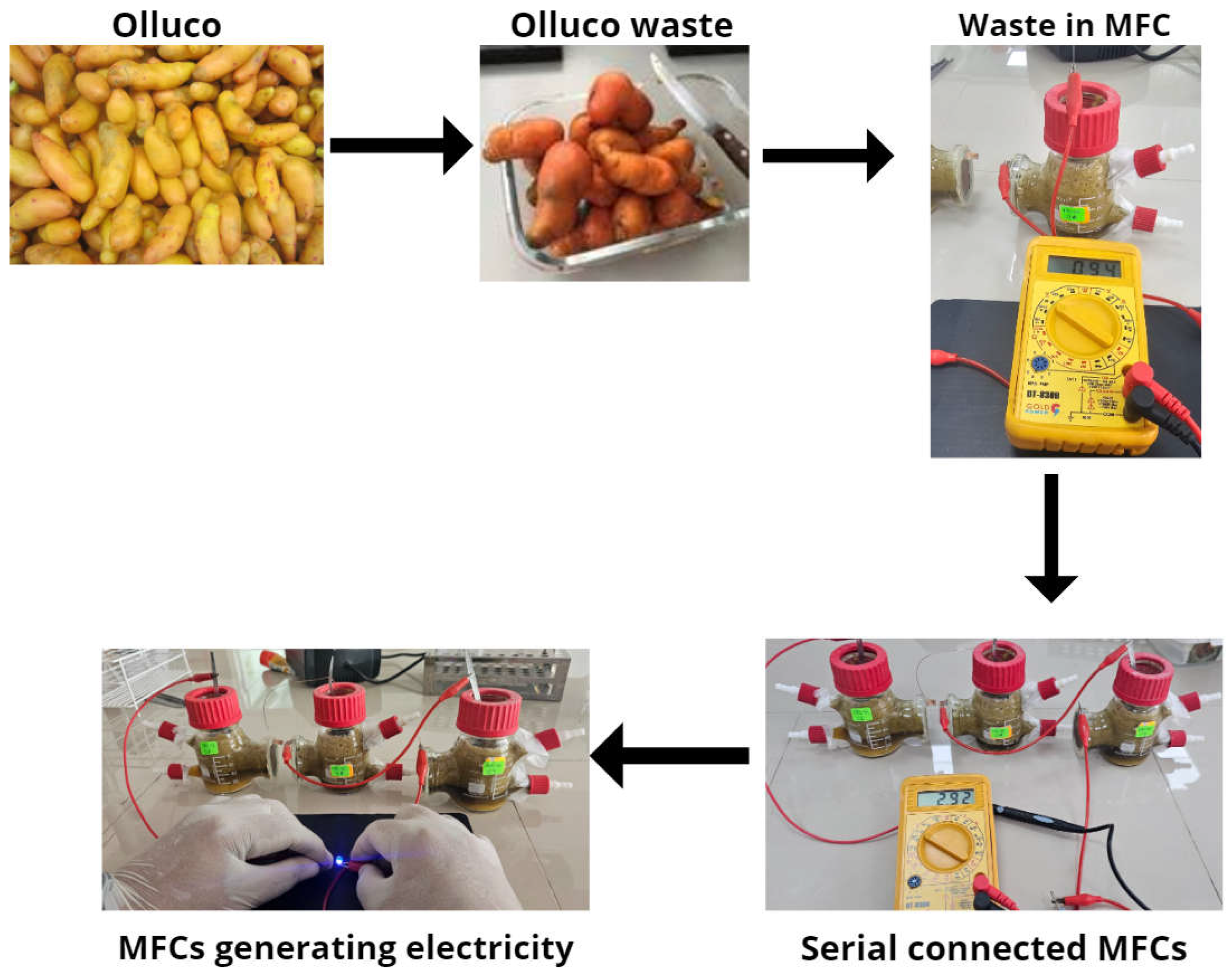 Molecules 29 01978 g005