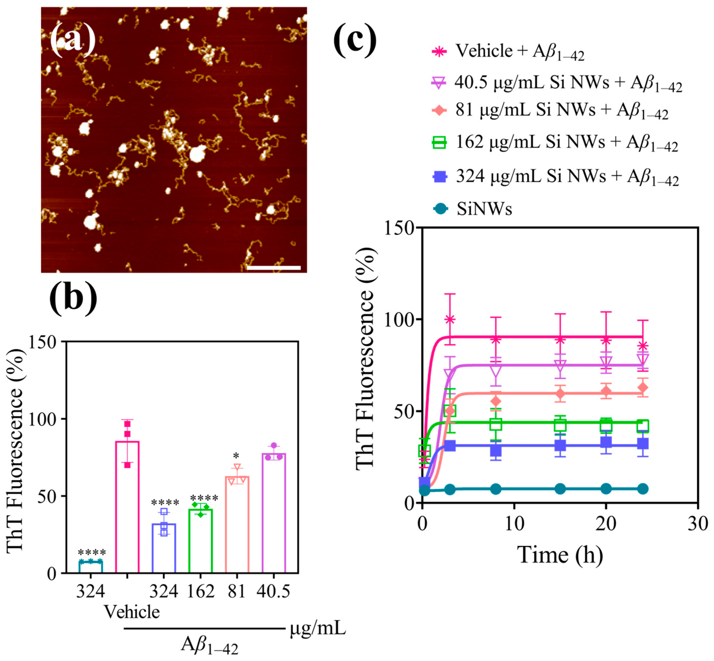 Molecules 29 01980 g002