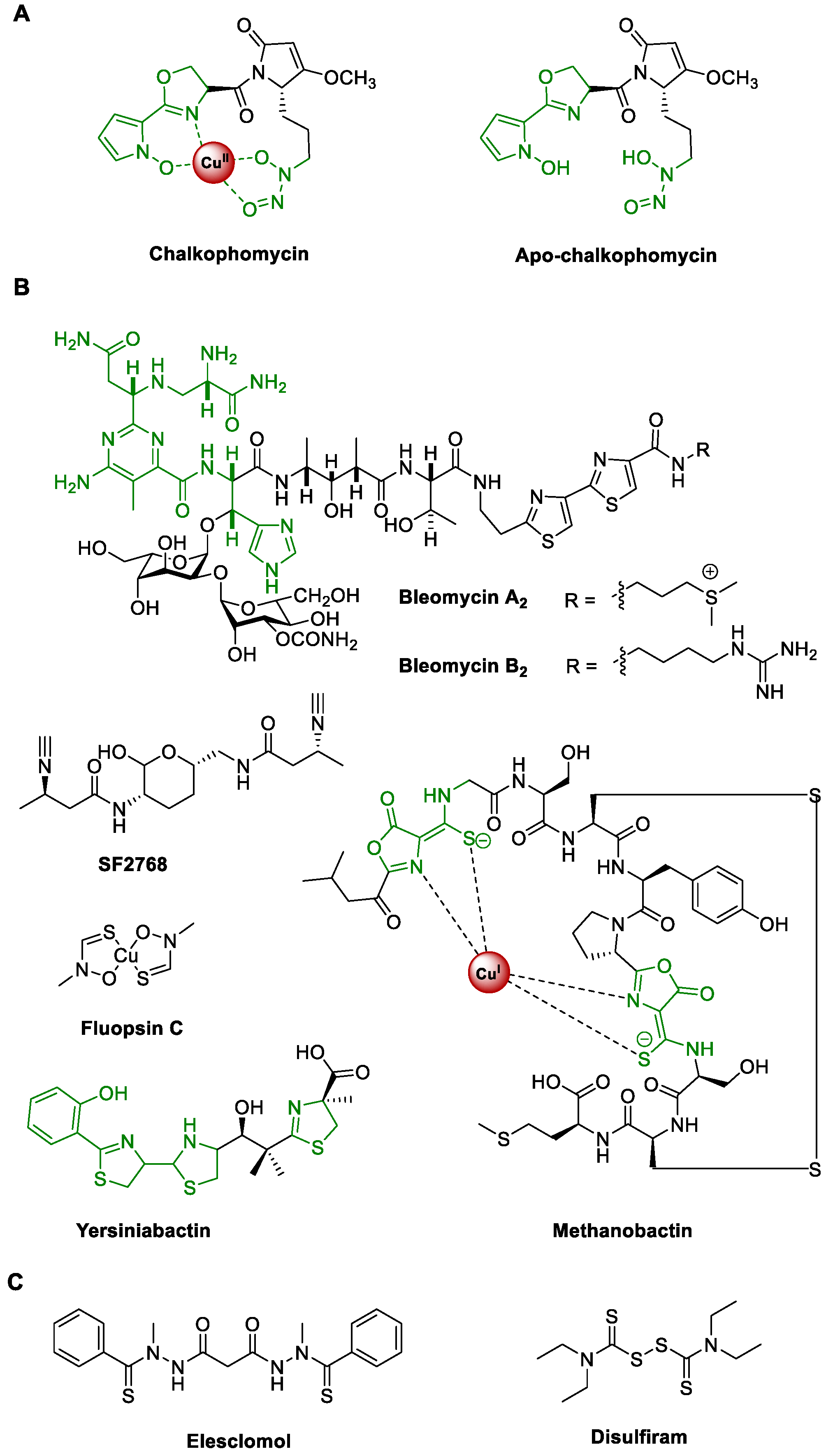 Molecules 29 01982 g001