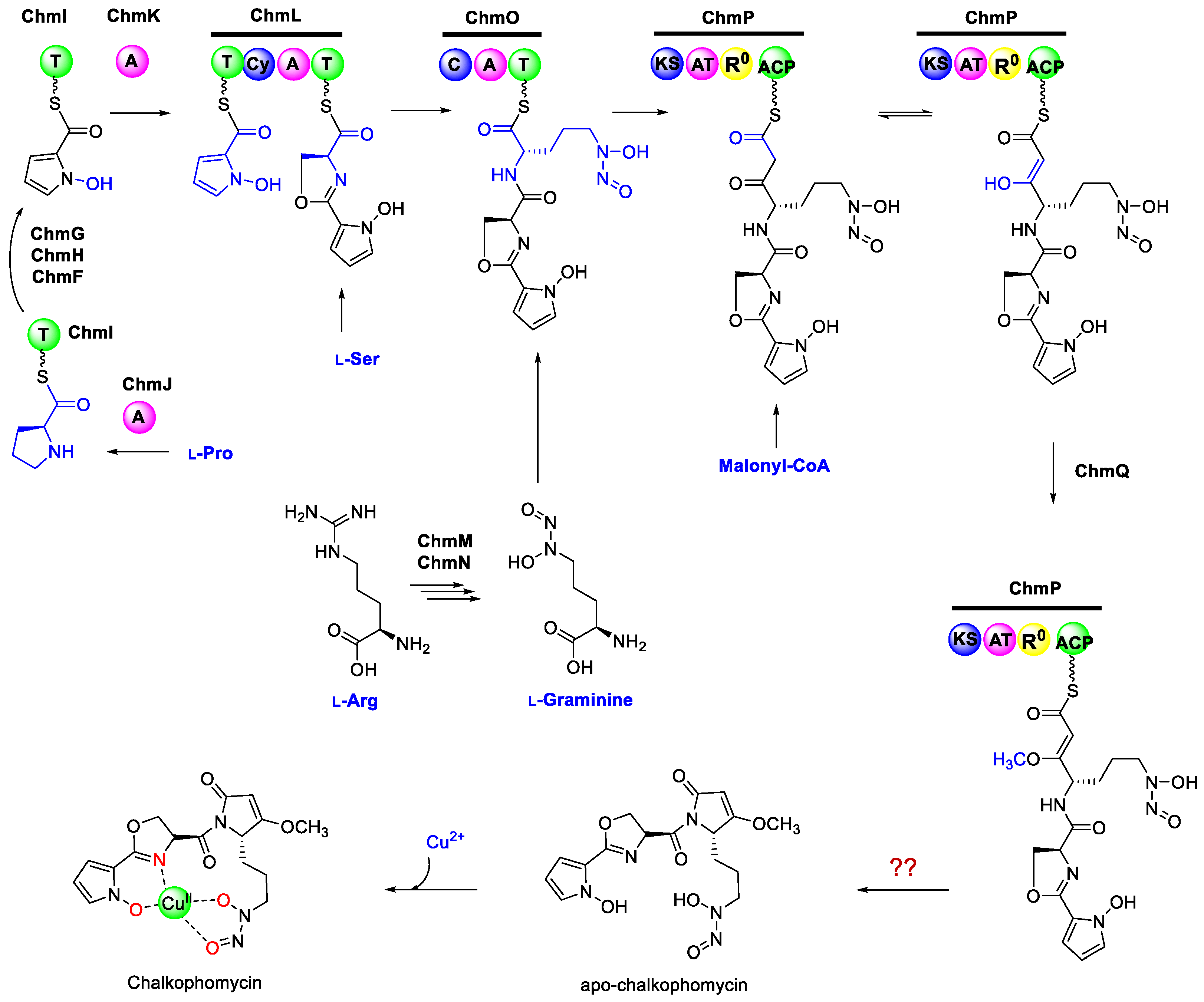 Molecules 29 01982 g003
