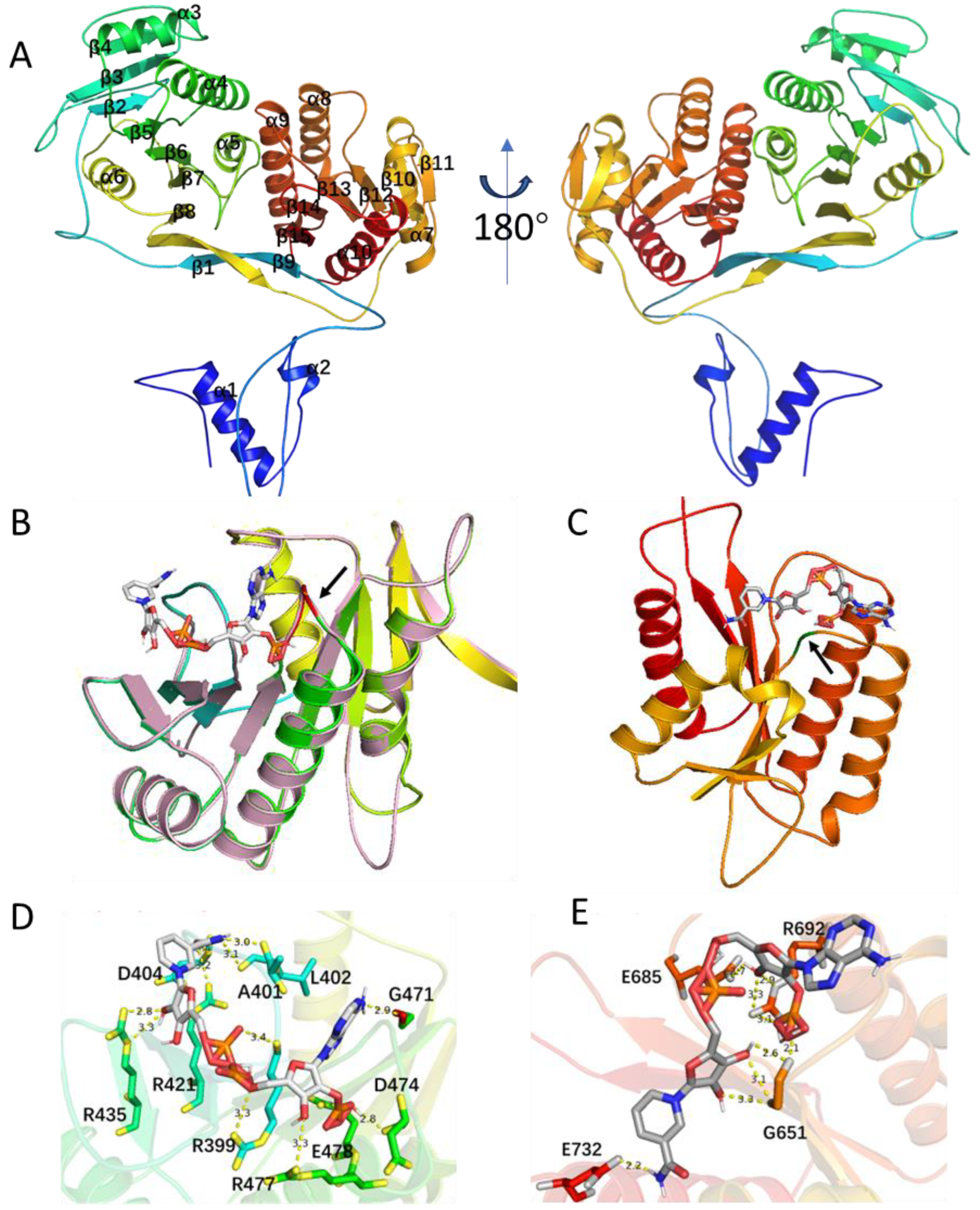 Molecules 29 01982 g004