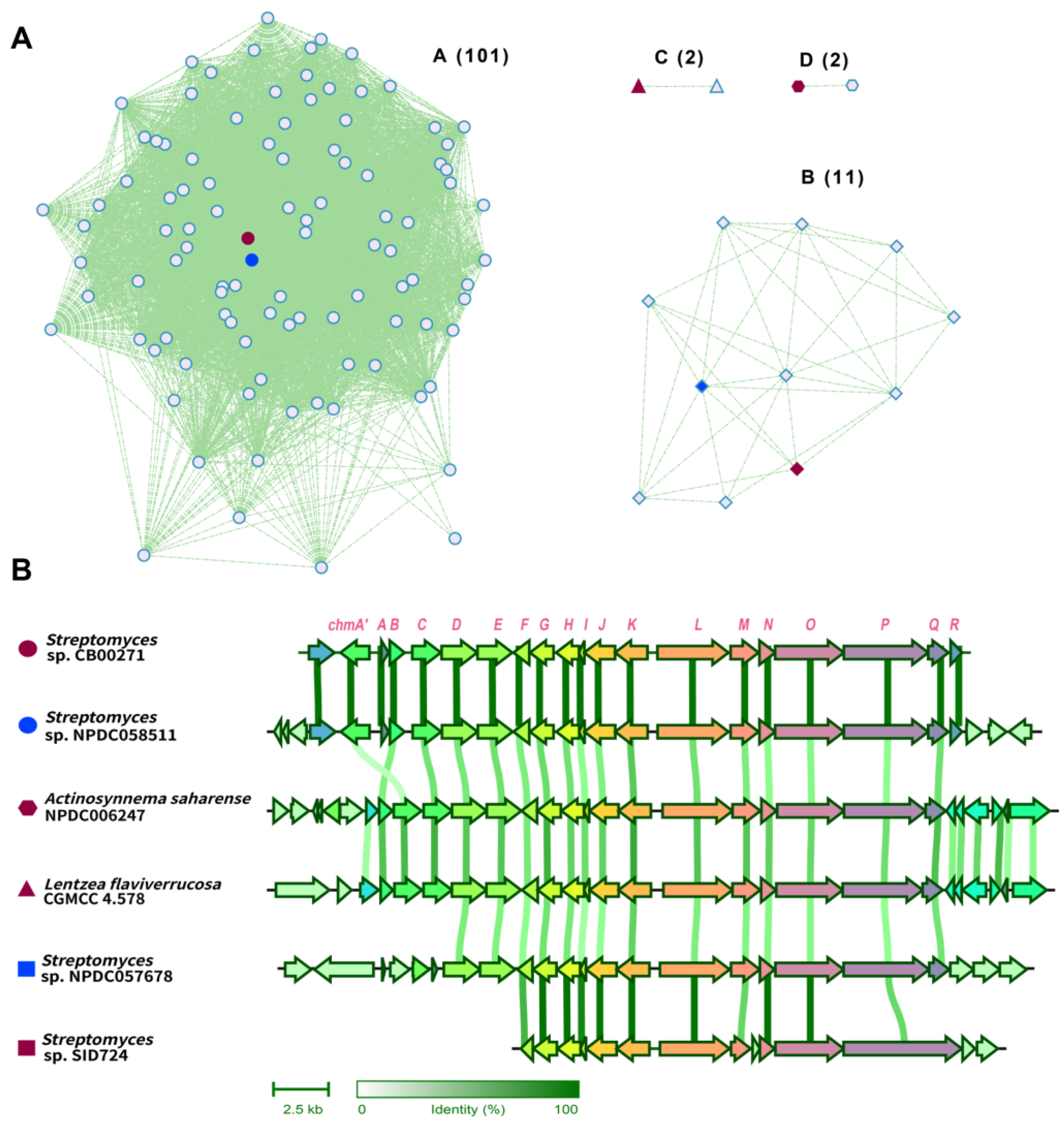 Molecules 29 01982 g005