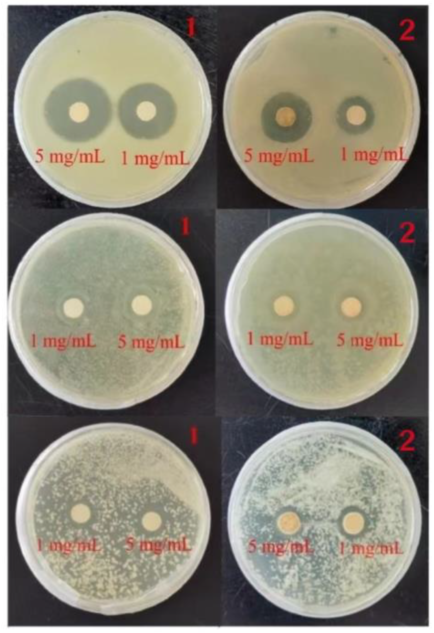 Molecules 29 01990 g005