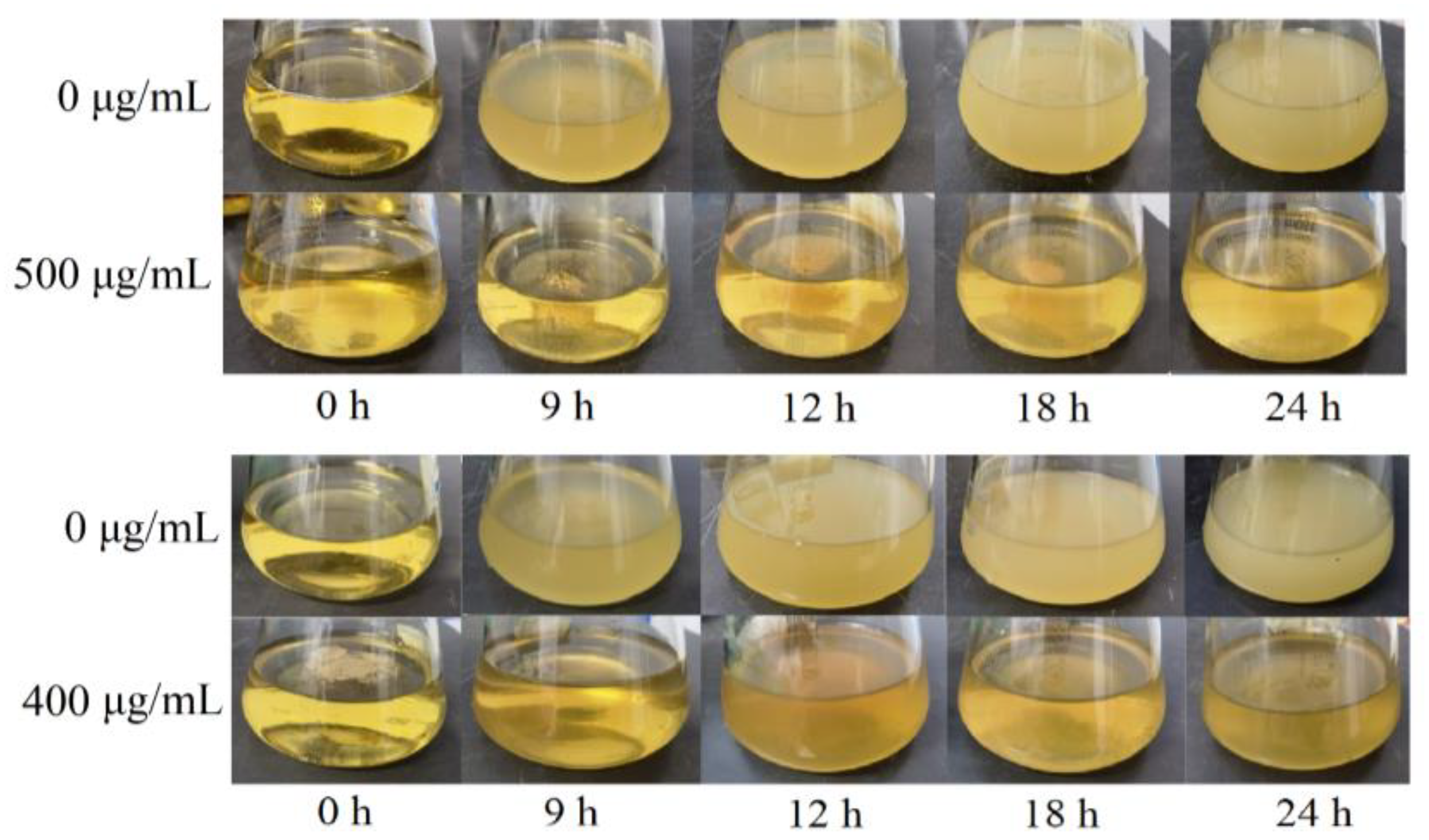Molecules 29 01990 g008