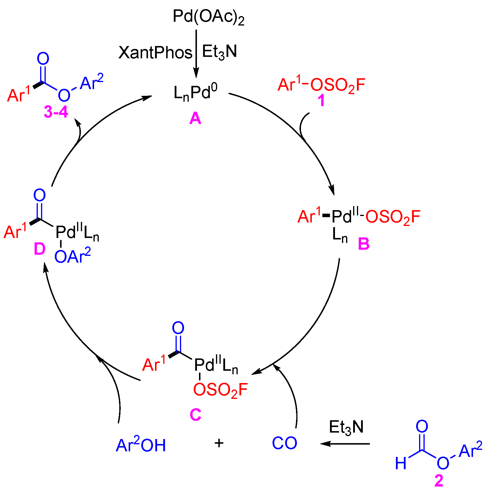 Molecules 29 01991 g004
