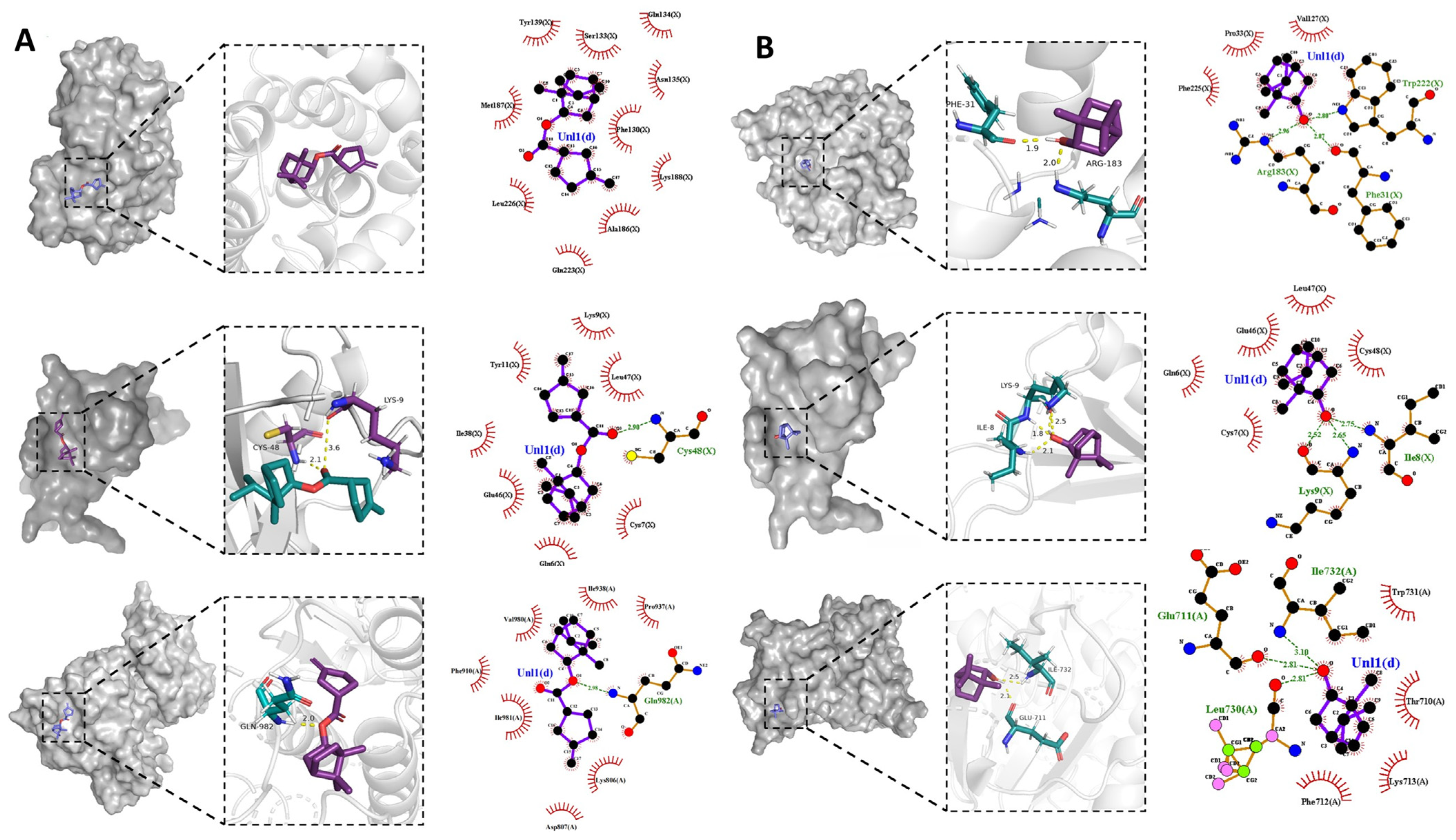 Molecules 29 01994 g010 Molecules 29 01994 g010