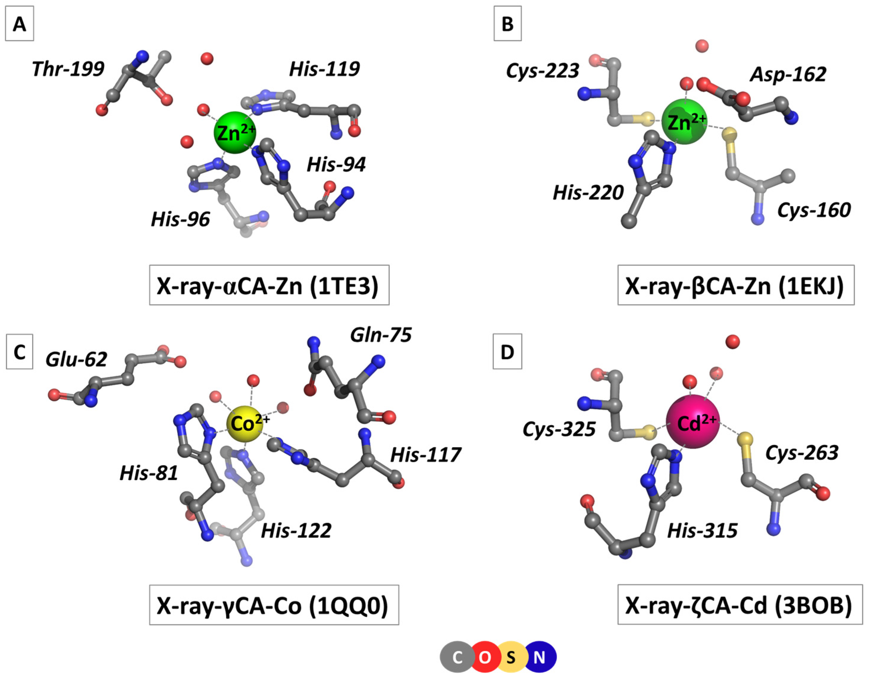 Molecules 29 01995 g001 Molecules 29 01995 g001