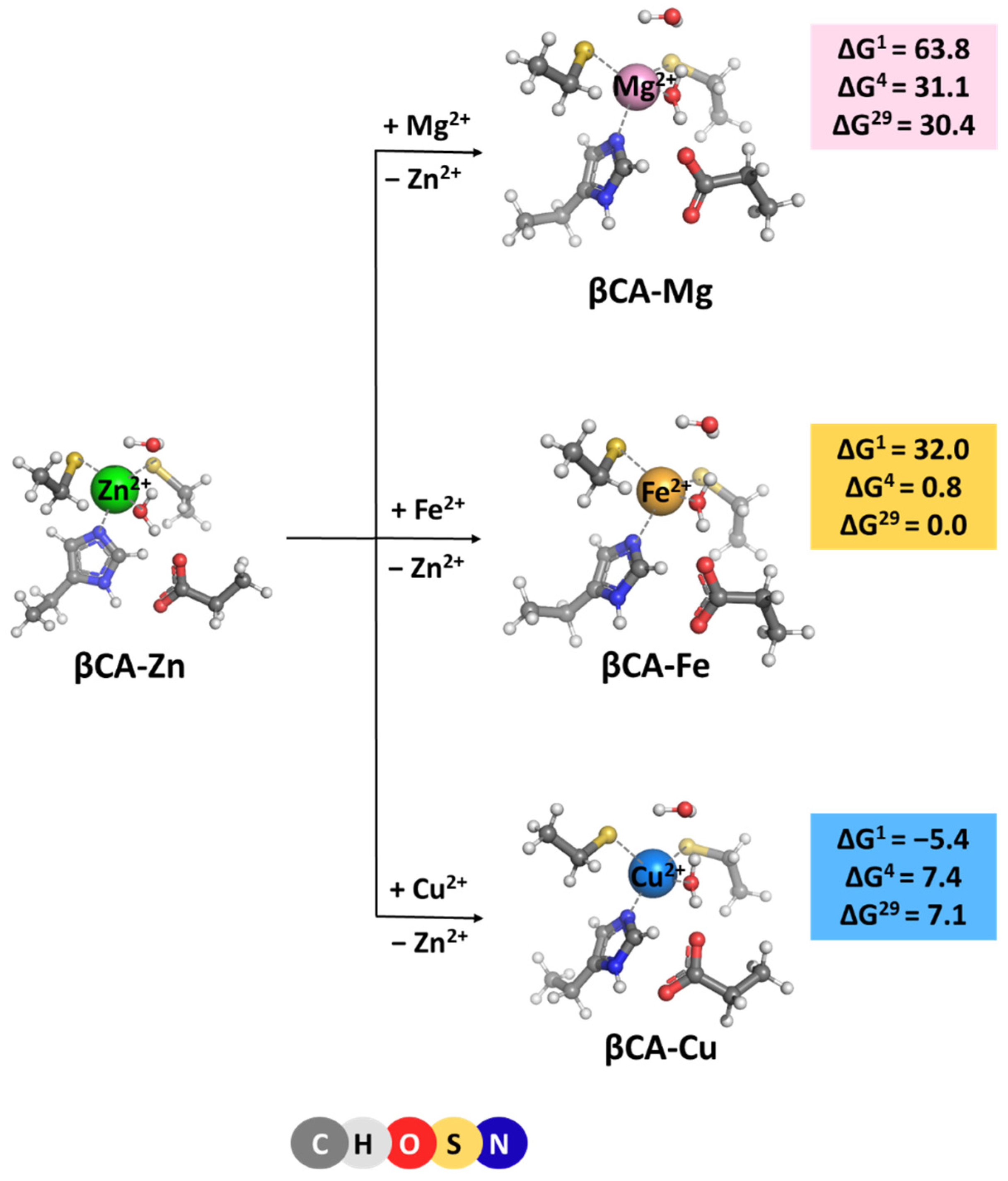 Molecules 29 01995 g003 Molecules 29 01995 g003