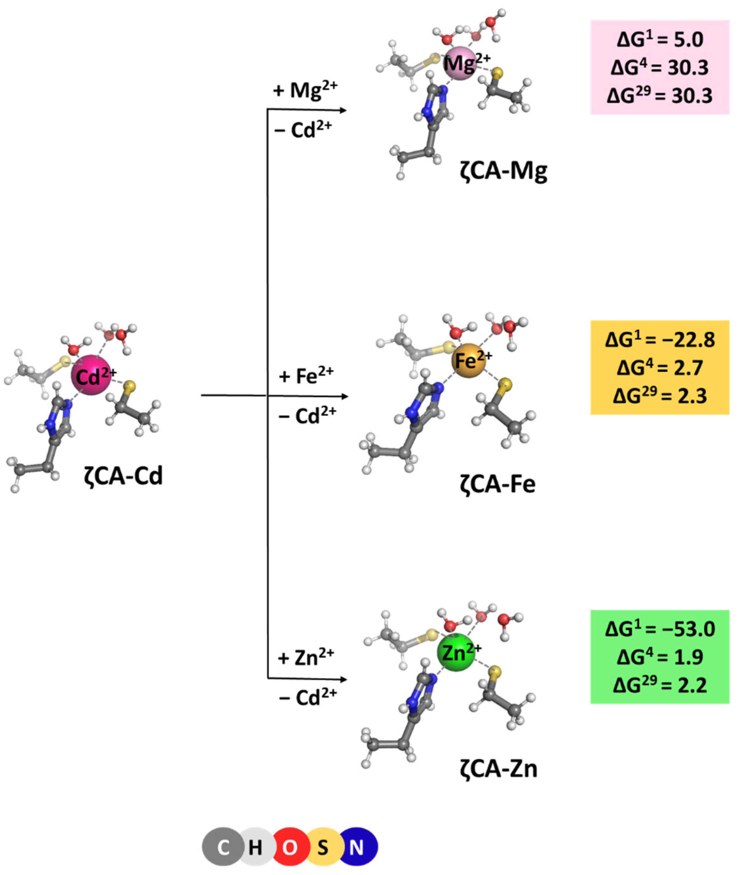 Molecules 29 01995 g005 Molecules 29 01995 g005