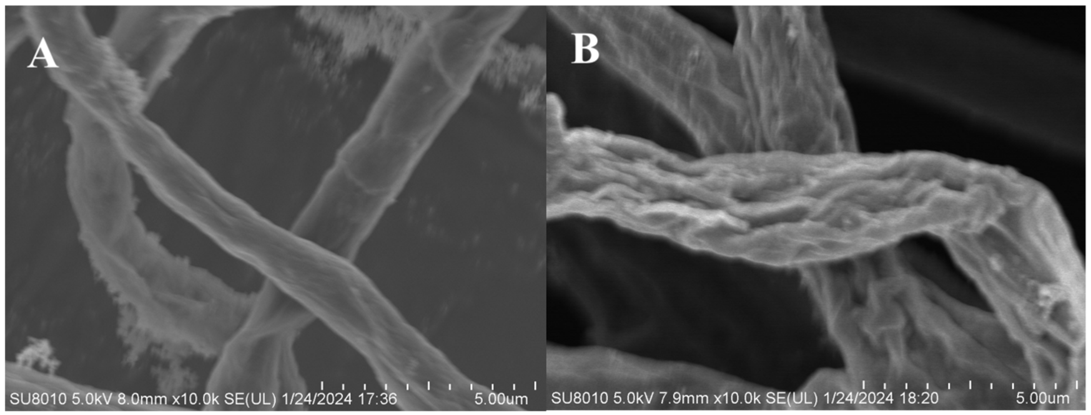 Molecules 29 01996 g005