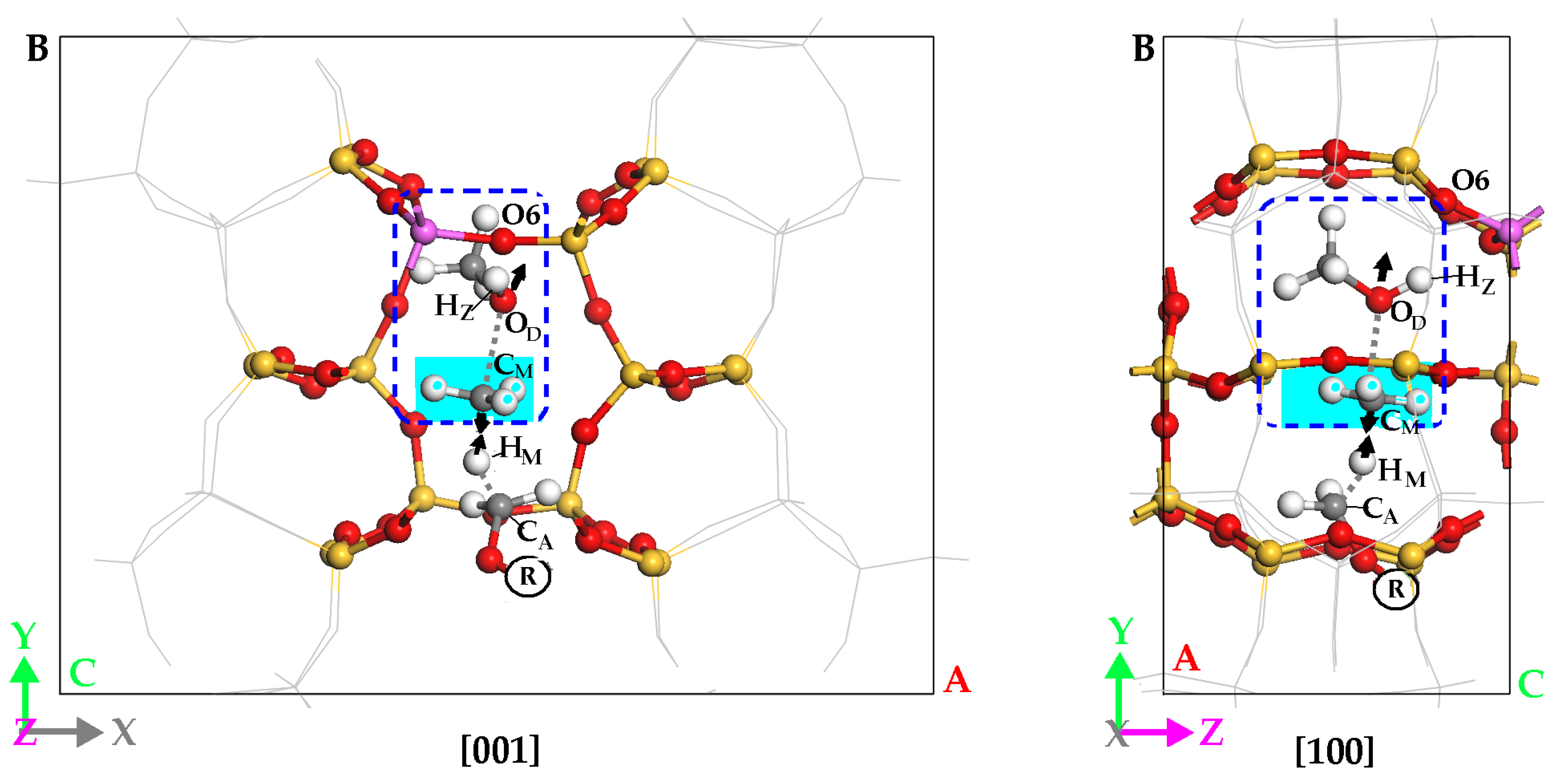 Molecules 29 02000 g005