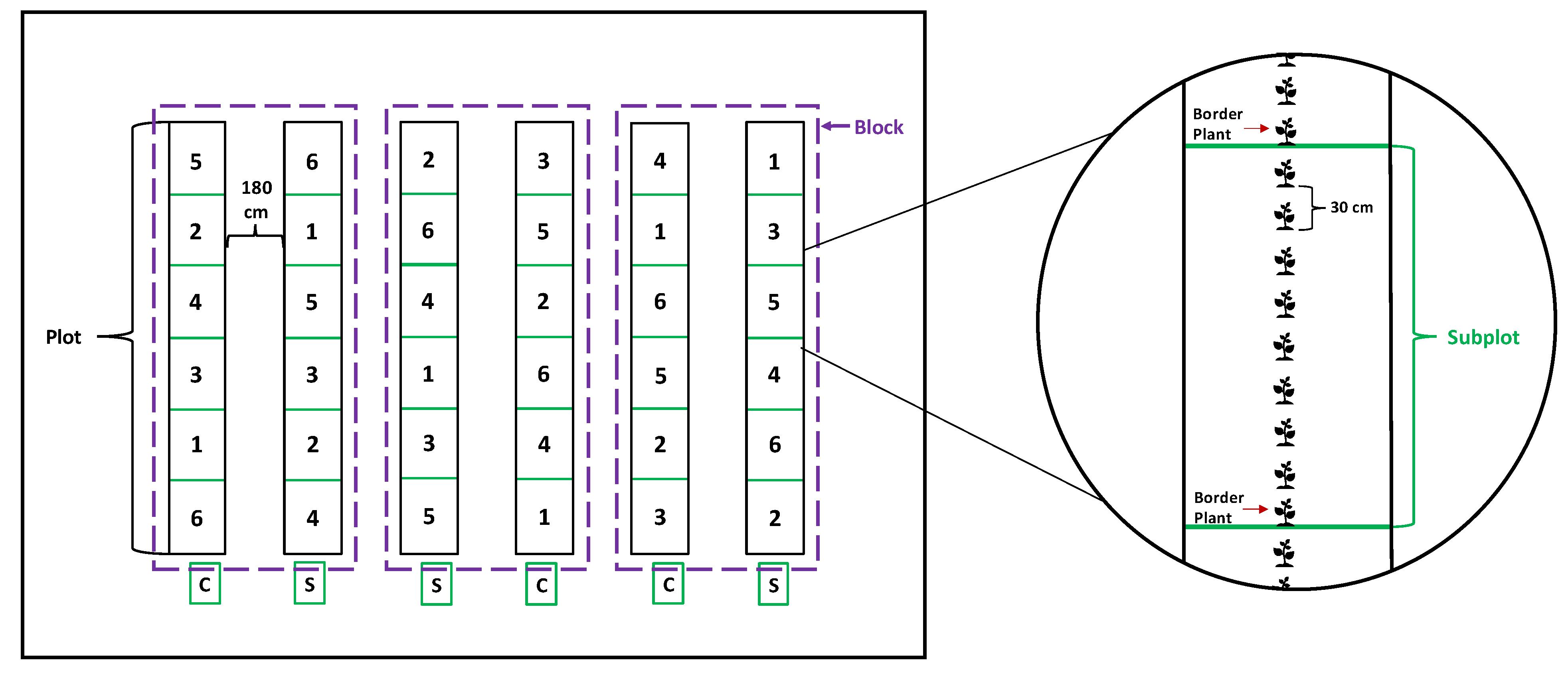 Molecules 29 02001 g007