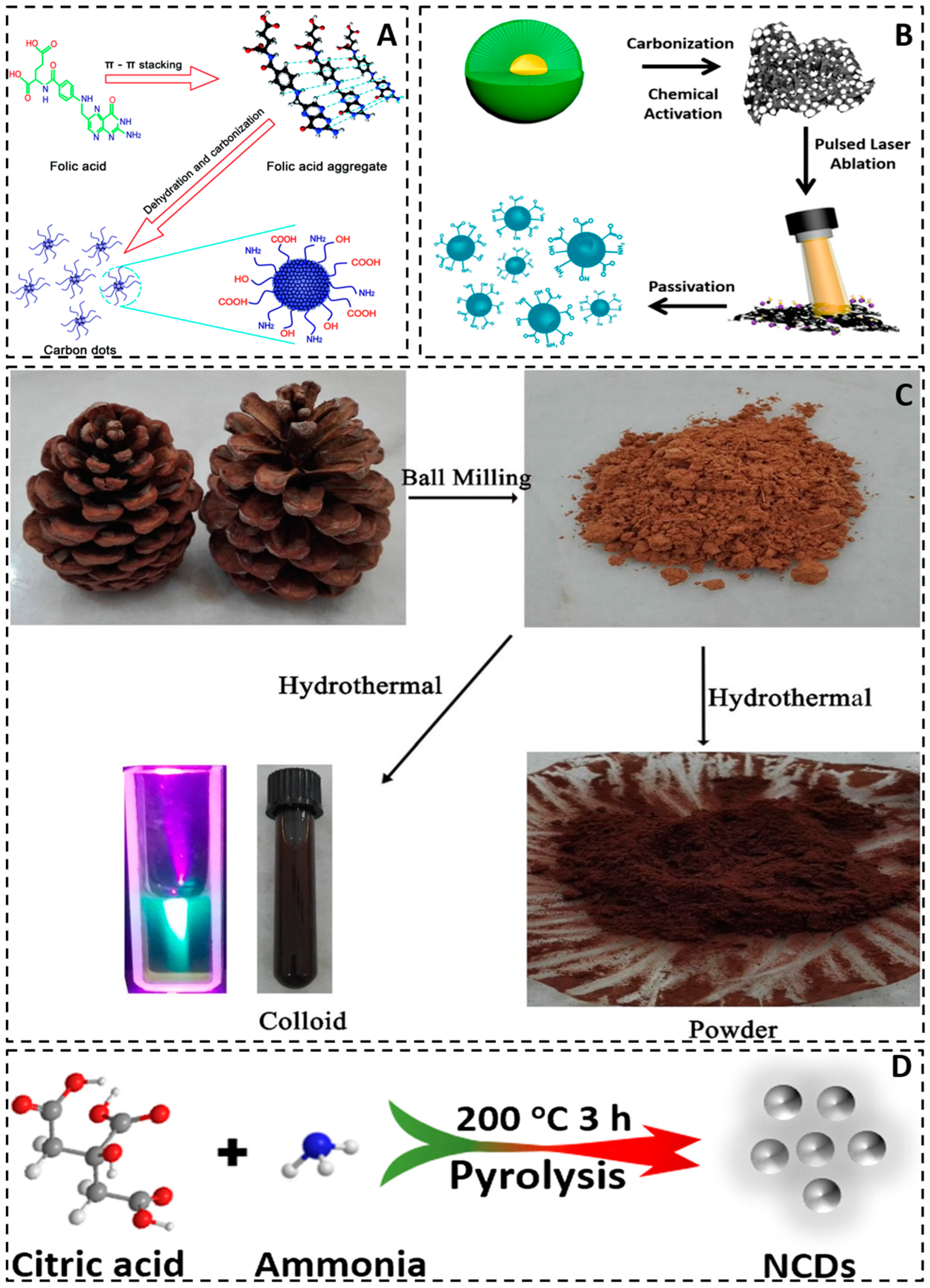 Molecules 29 02002 g005