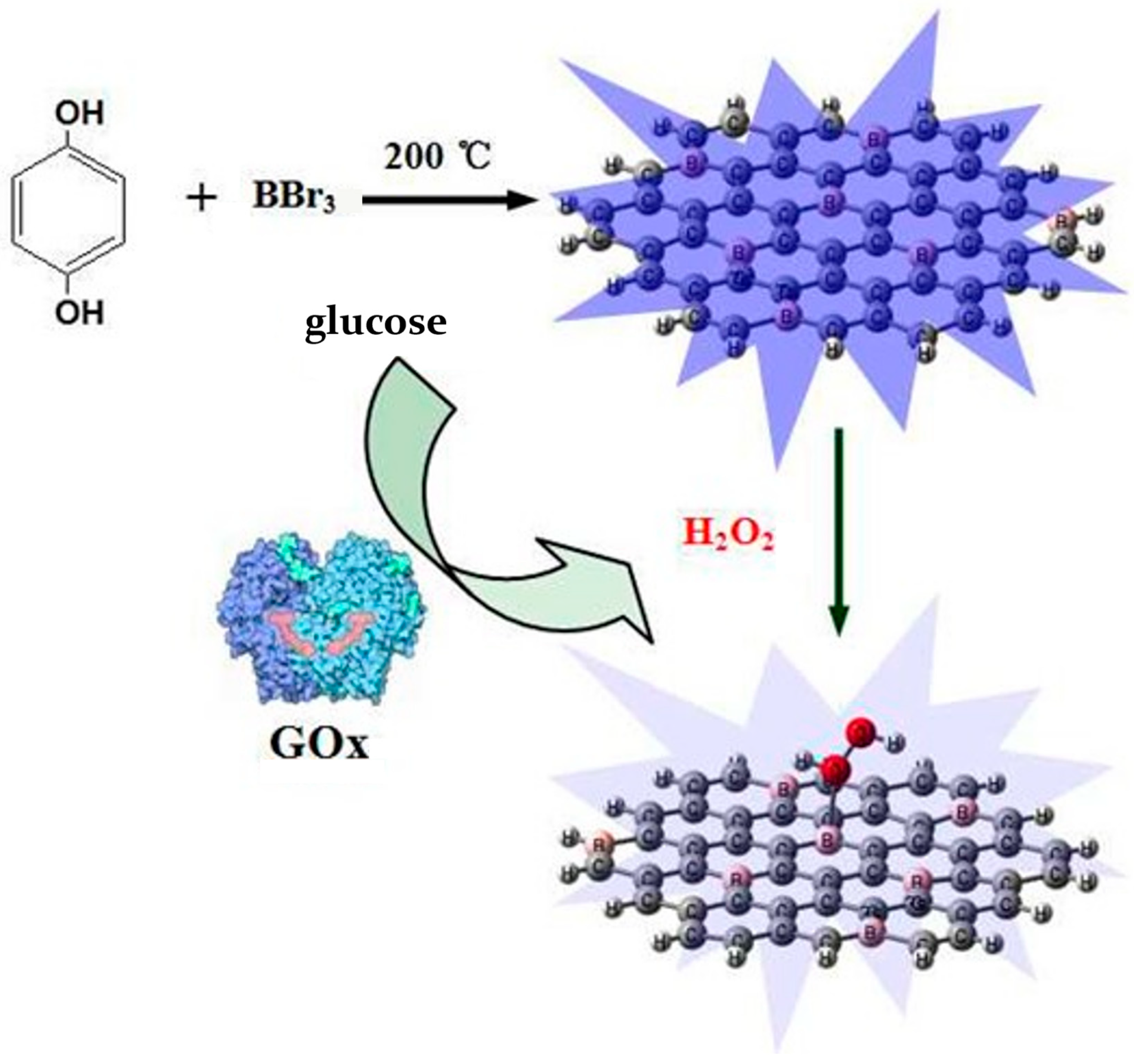 Molecules 29 02002 g010