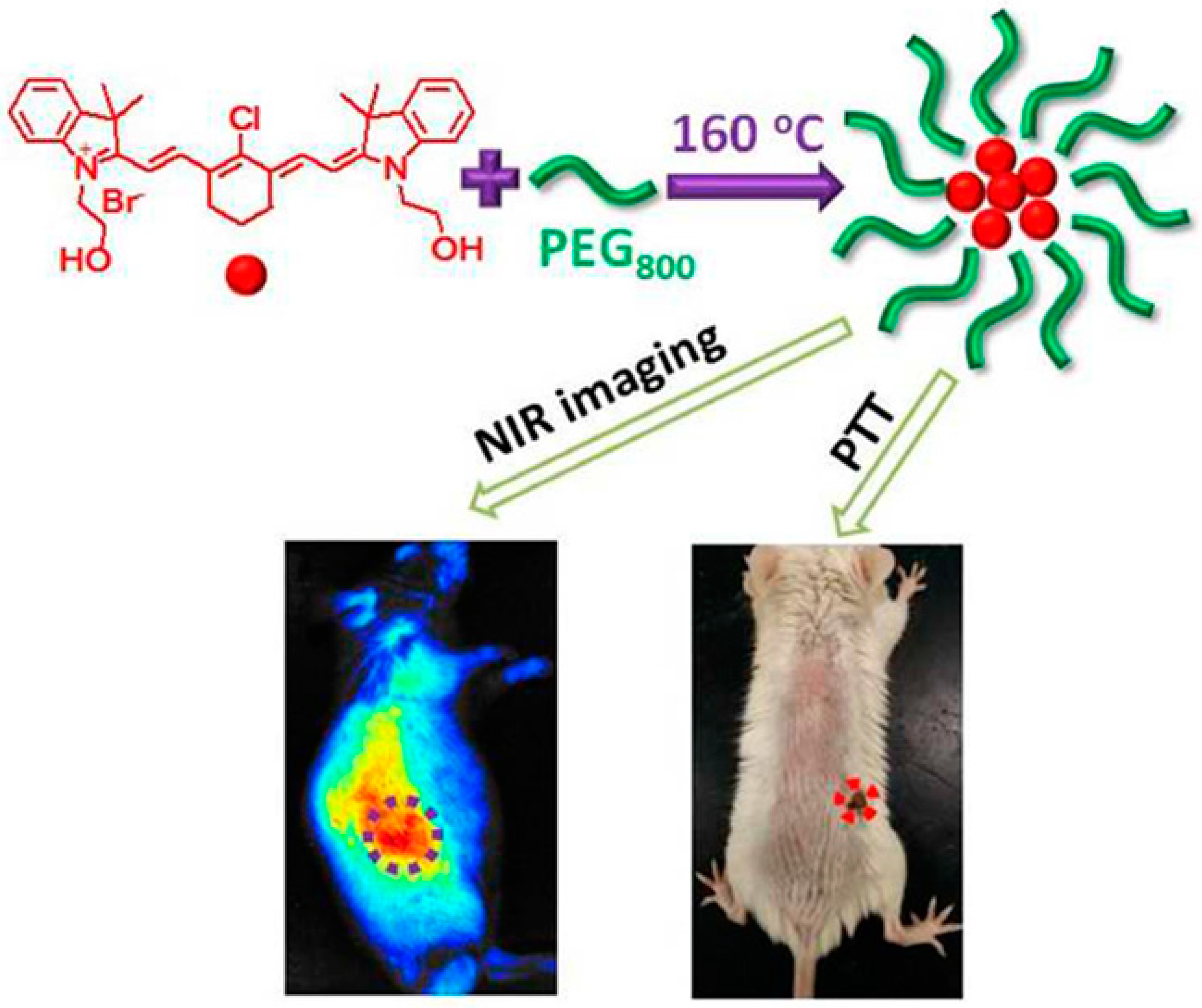 Molecules 29 02002 g022