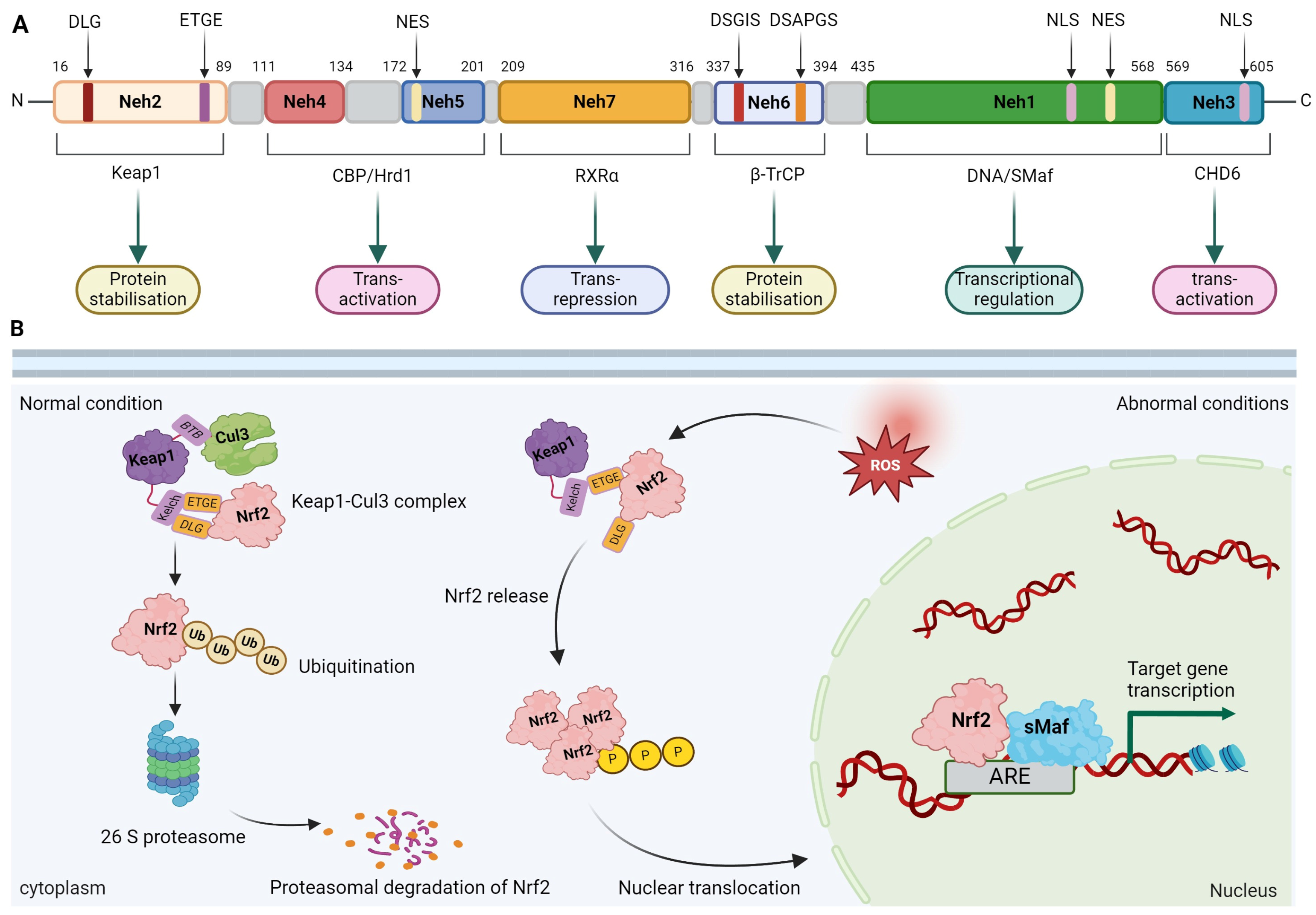 Molecules 29 02005 g001