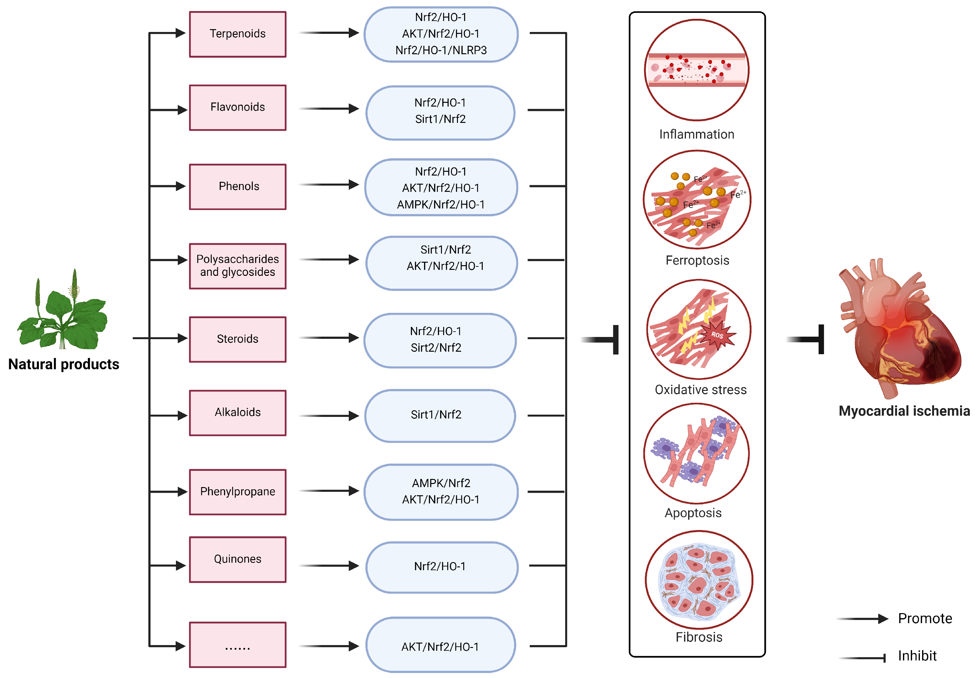 Molecules 29 02005 g003