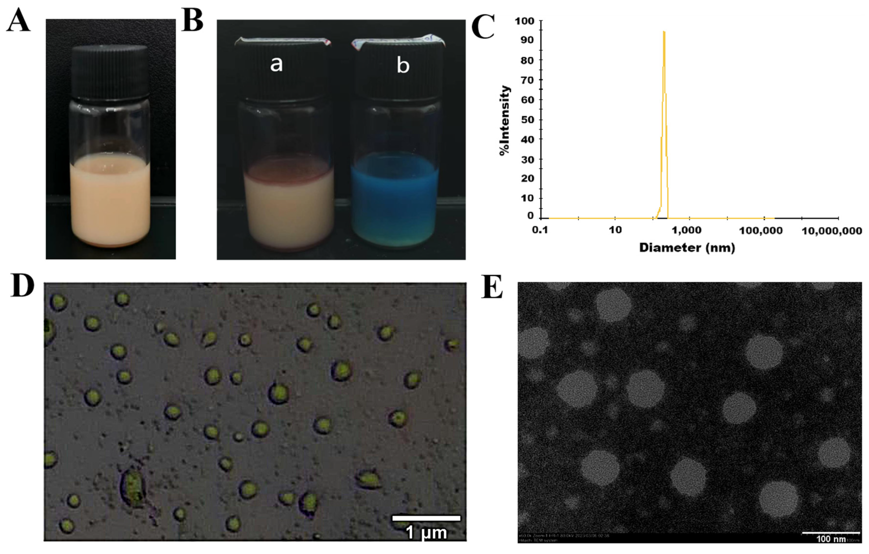 Molecules 29 02009 g005