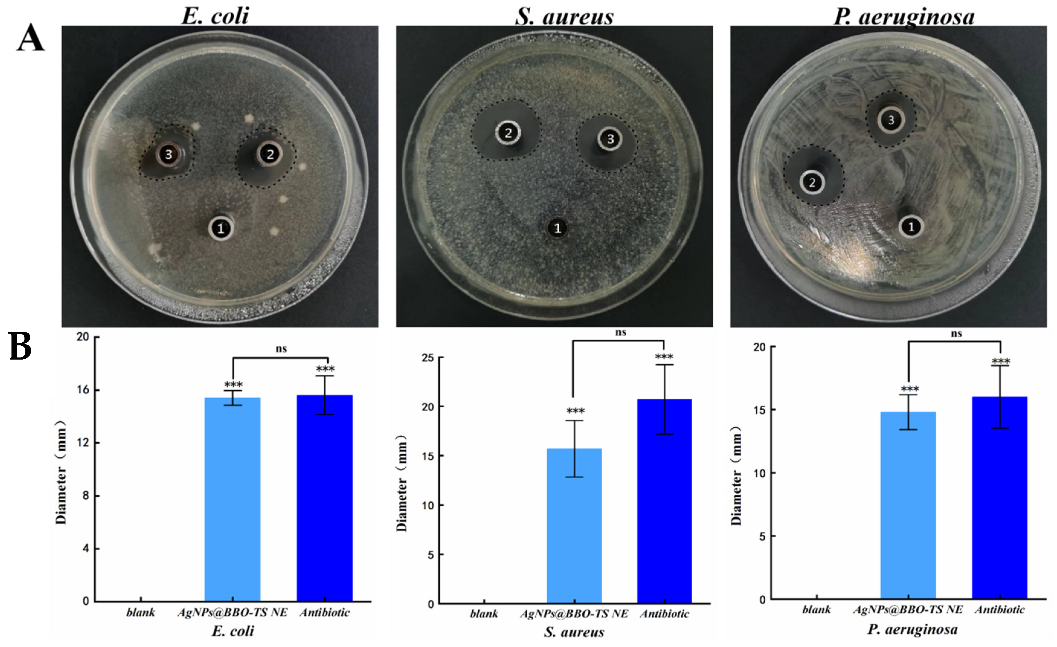 Molecules 29 02009 g008