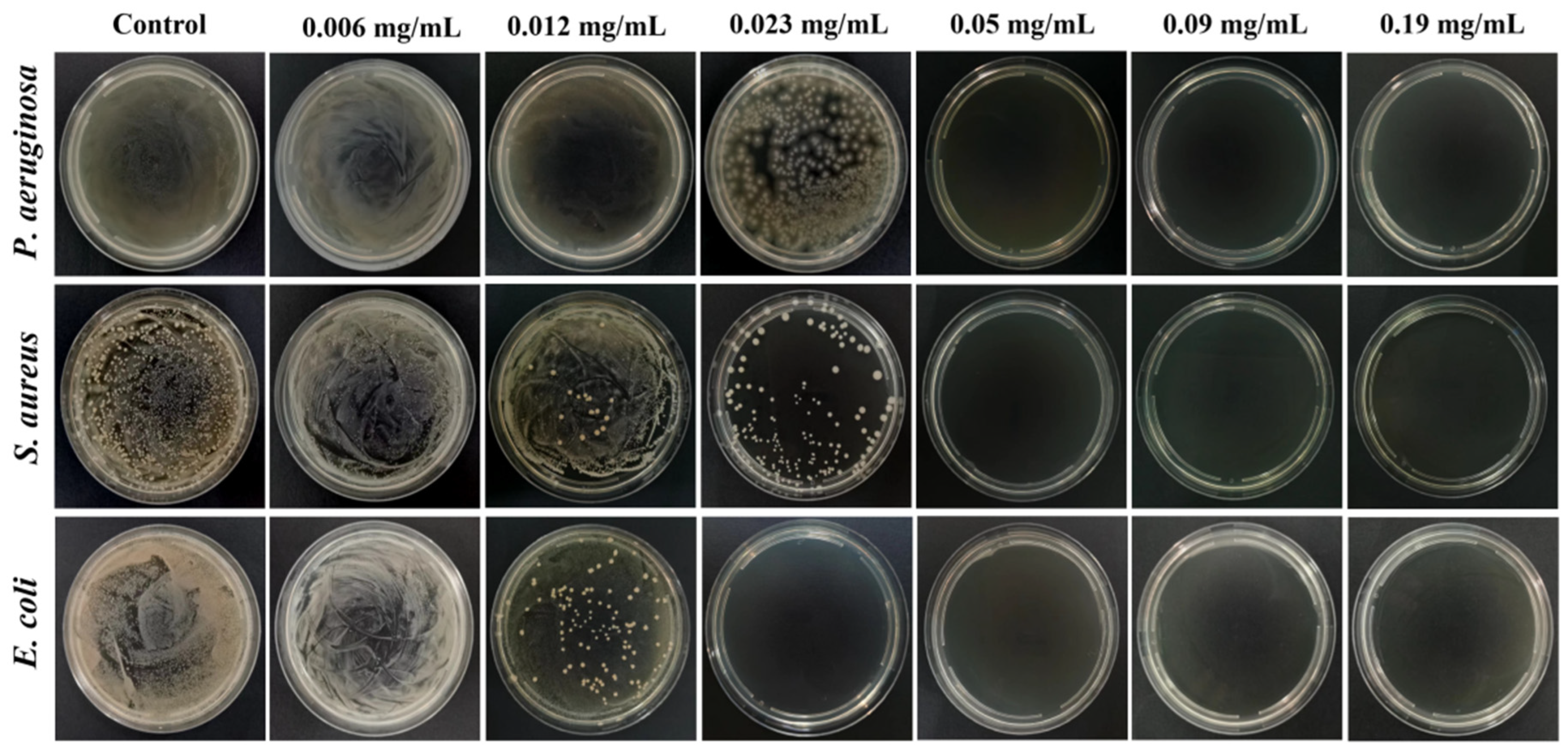 Molecules 29 02009 g009