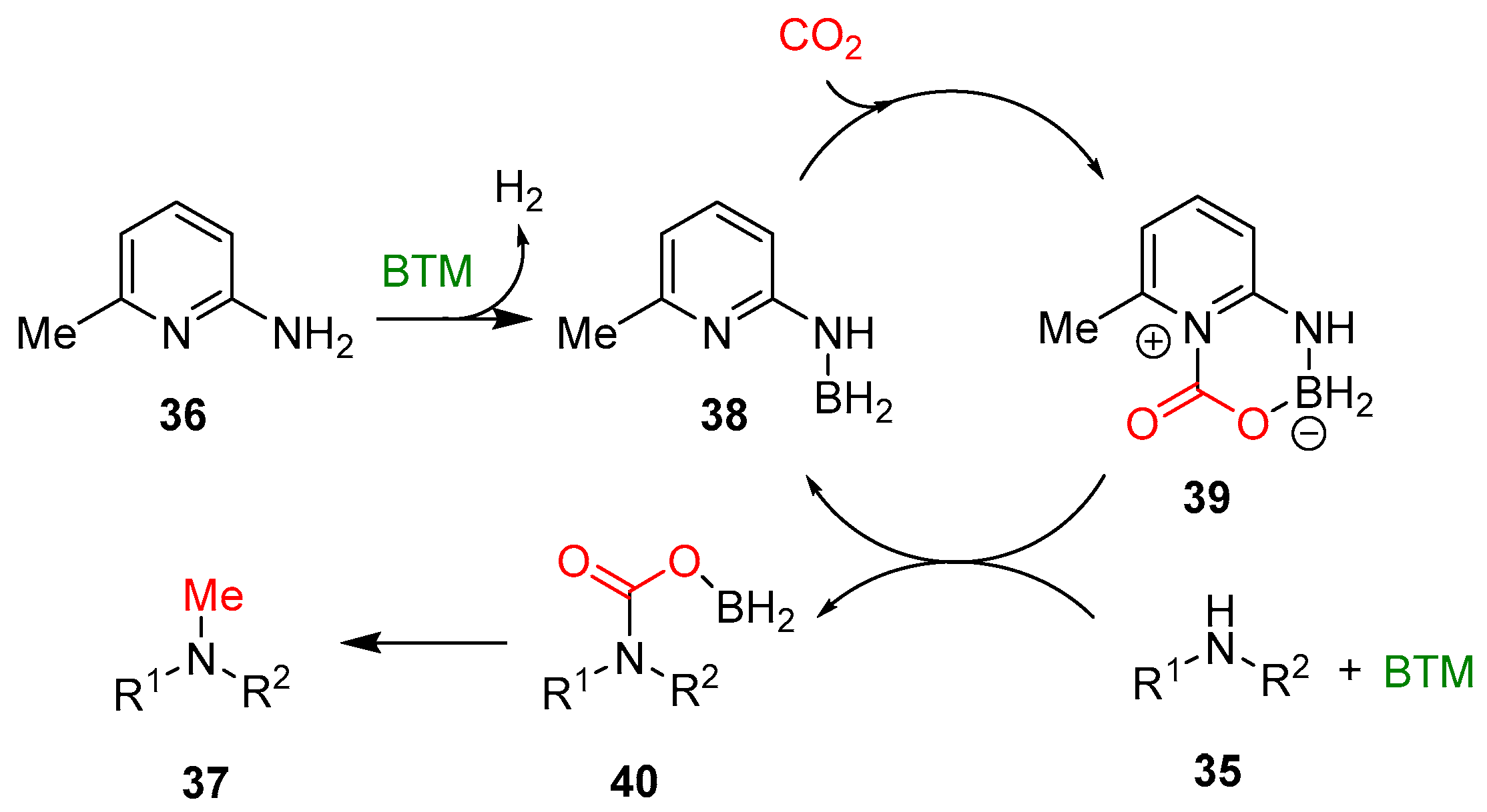 Molecules 29 02017 sch012