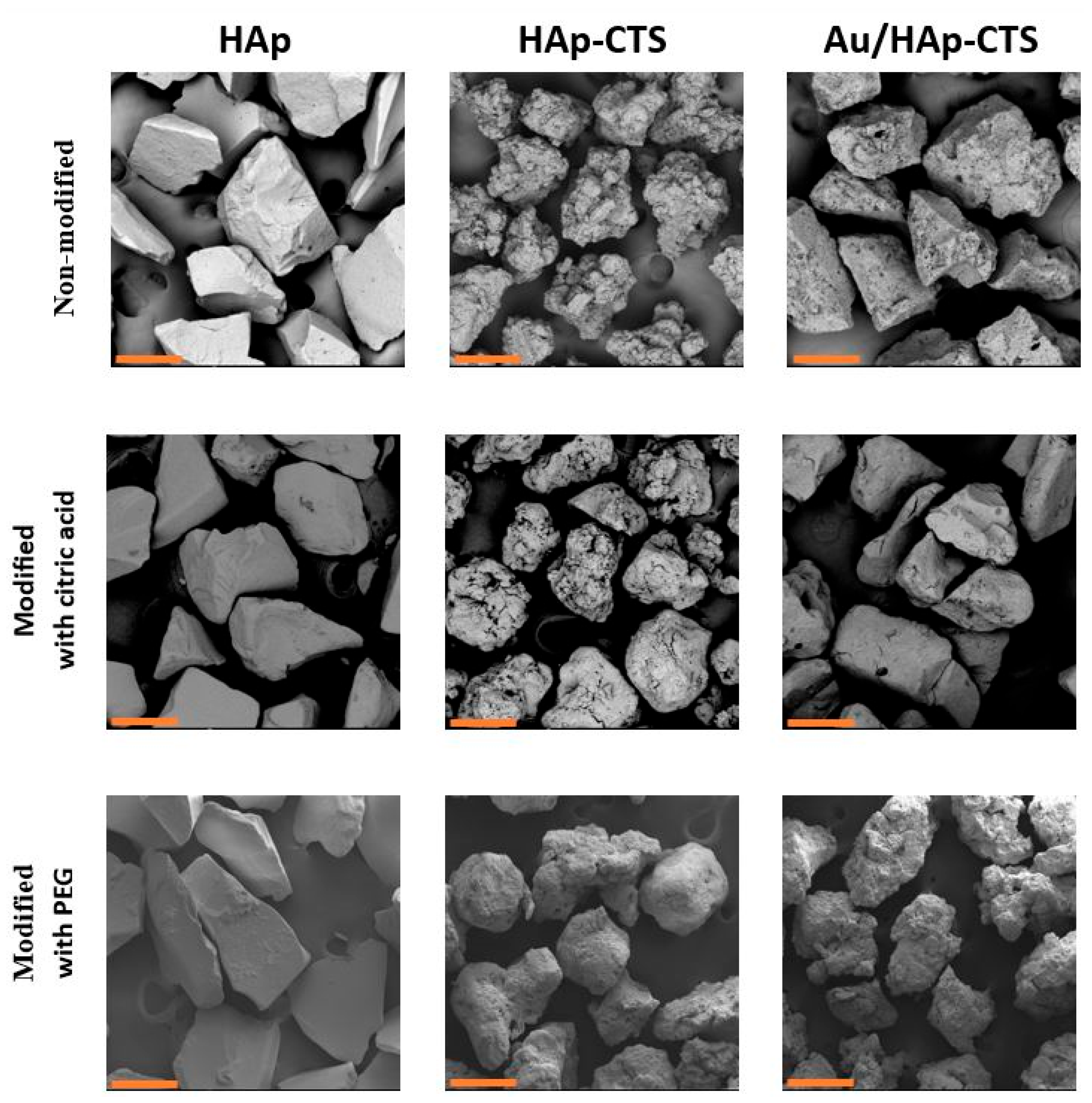 Molecules 29 02018 g004