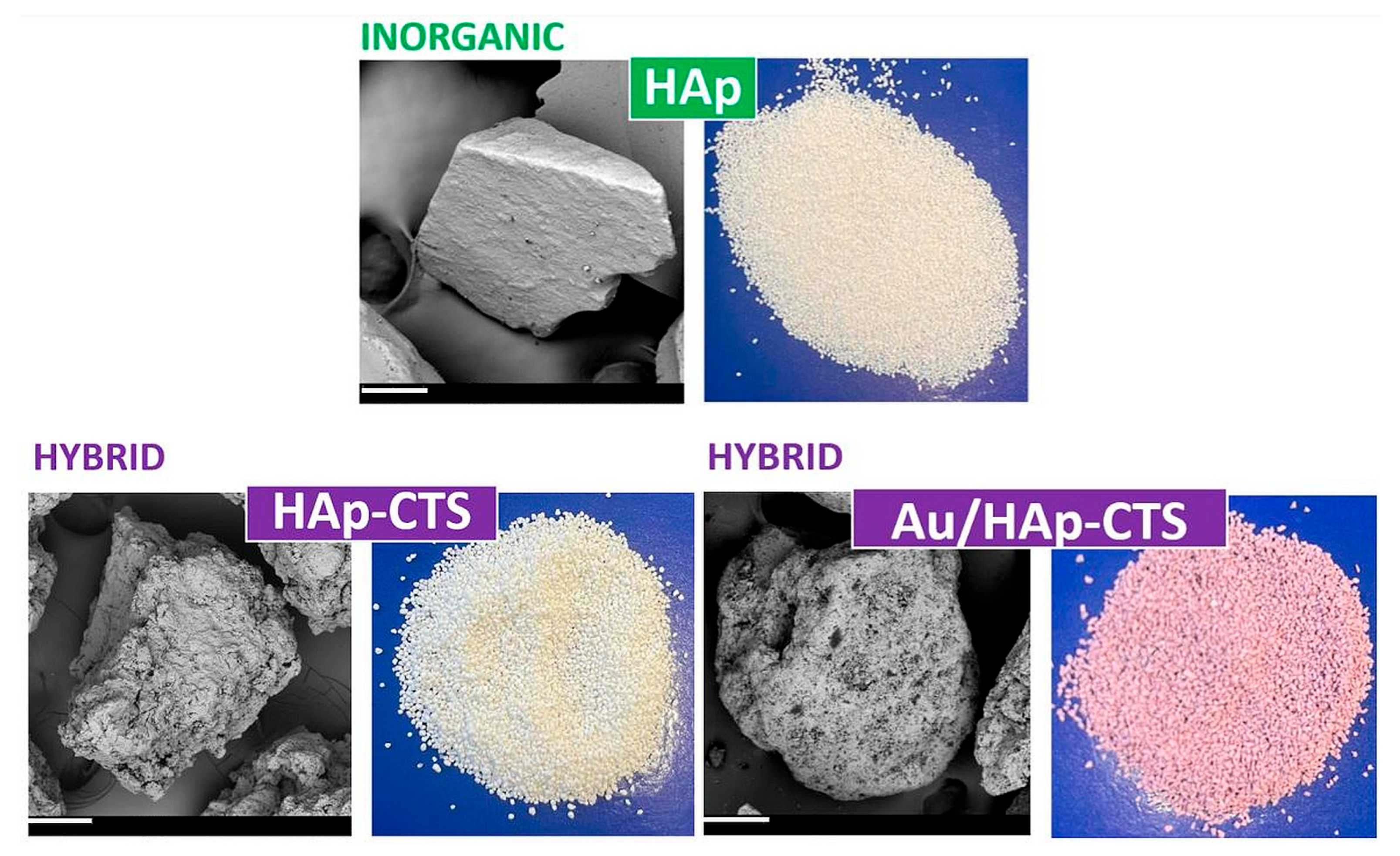 Molecules 29 02018 g006
