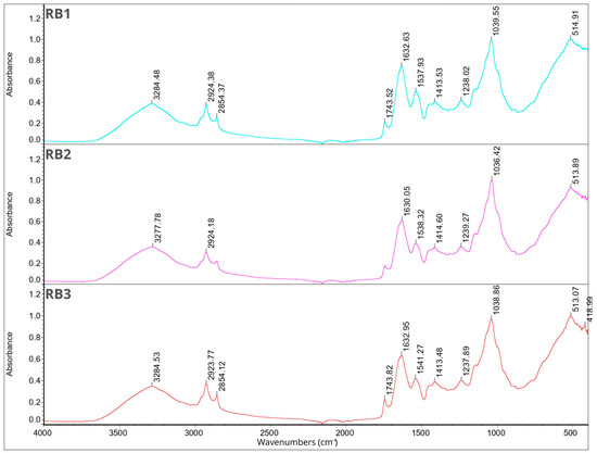 Molecules 29 02019 g002