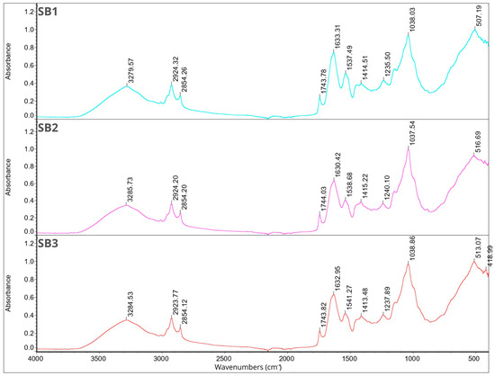 Molecules 29 02019 g004